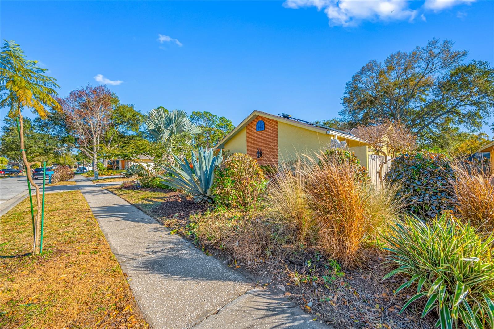 Listing photo id 62 for 2970 Tangerine Terrace