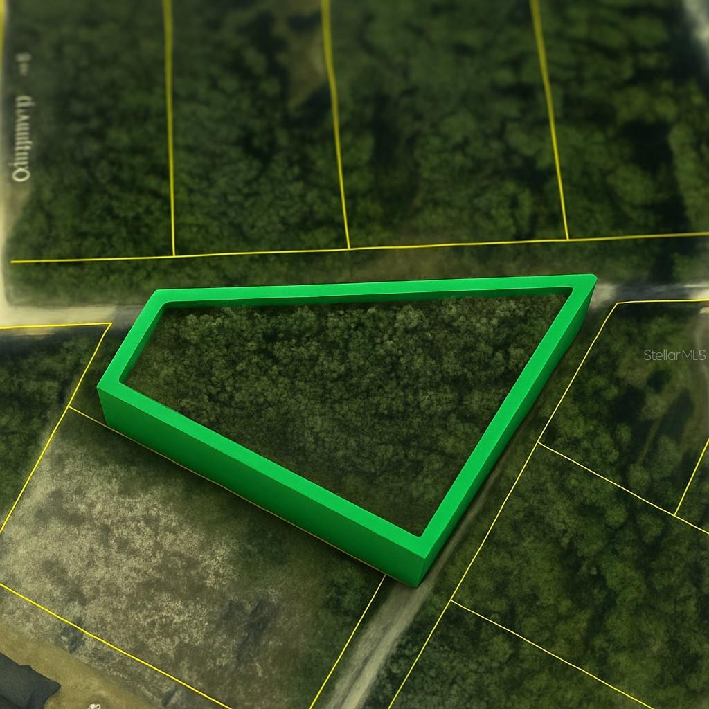 Details for Coral Rock Drive, WEBSTER, FL 33597