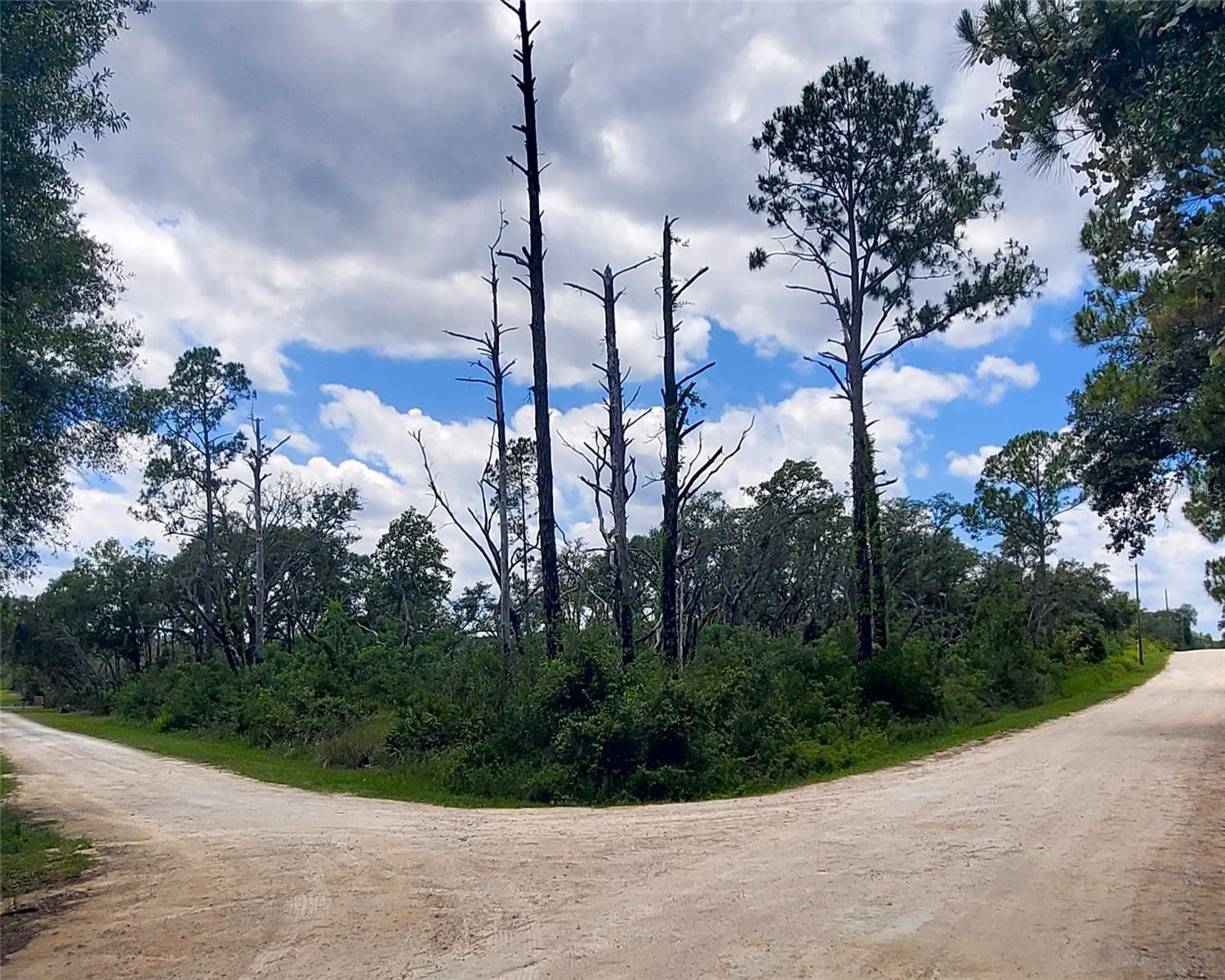 Image 2 of 3 For Coral Rock Drive