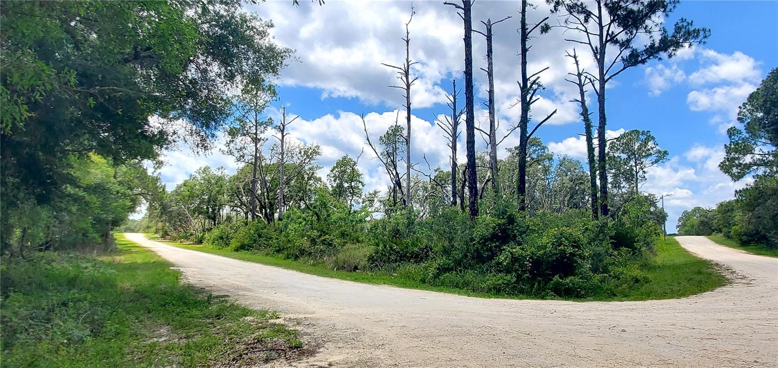 Image 3 of 3 For Coral Rock Drive