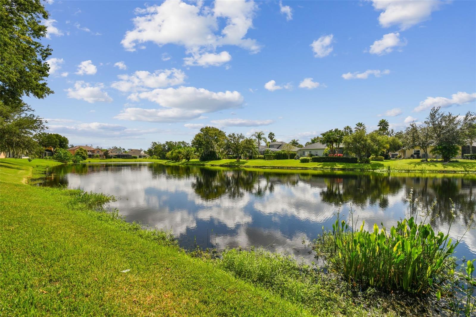 Image 71 of 86 For 26848 Shoregrass Drive