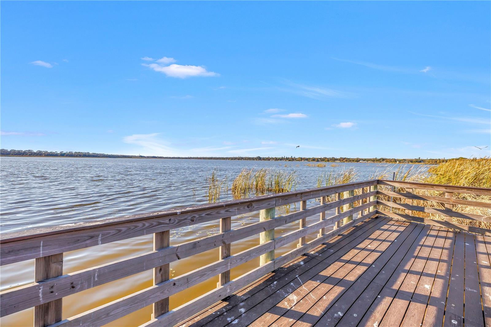 Image 32 of 39 For 3000 Dr Martin Luther King Jr Street S