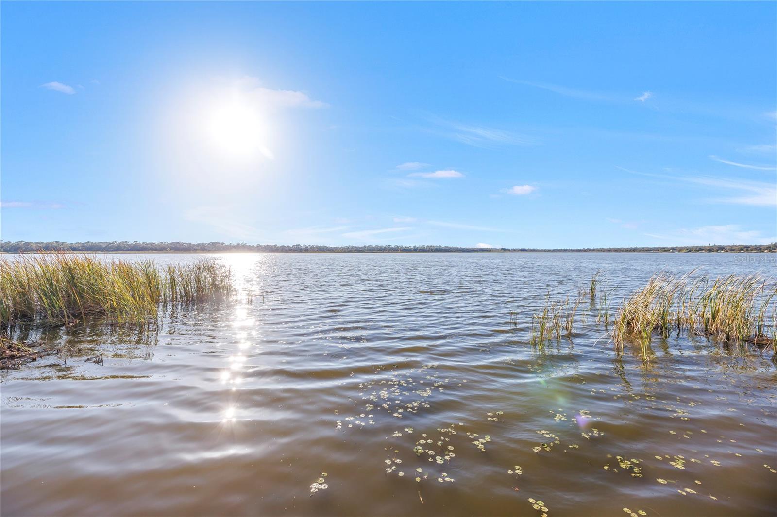 Image 34 of 39 For 3000 Dr Martin Luther King Jr Street S