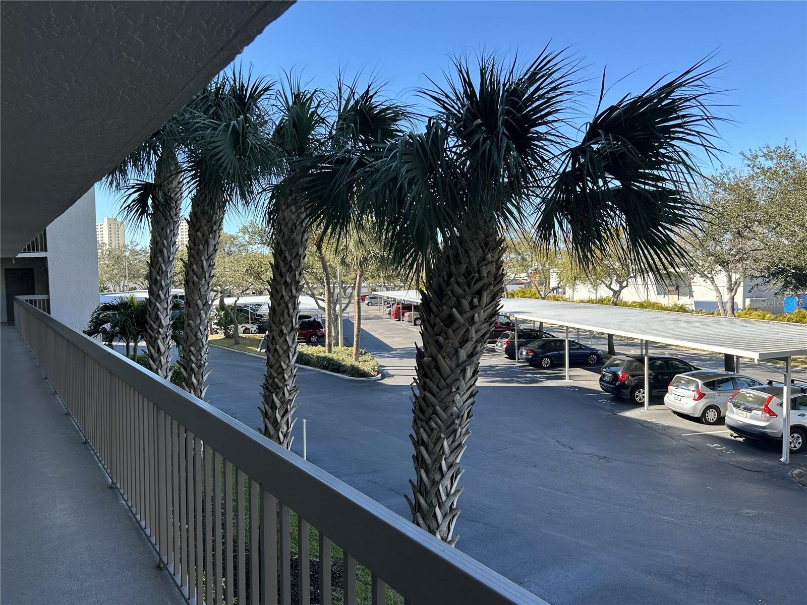 Image 25 of 50 For 1316 Pasadena Avenue S 202