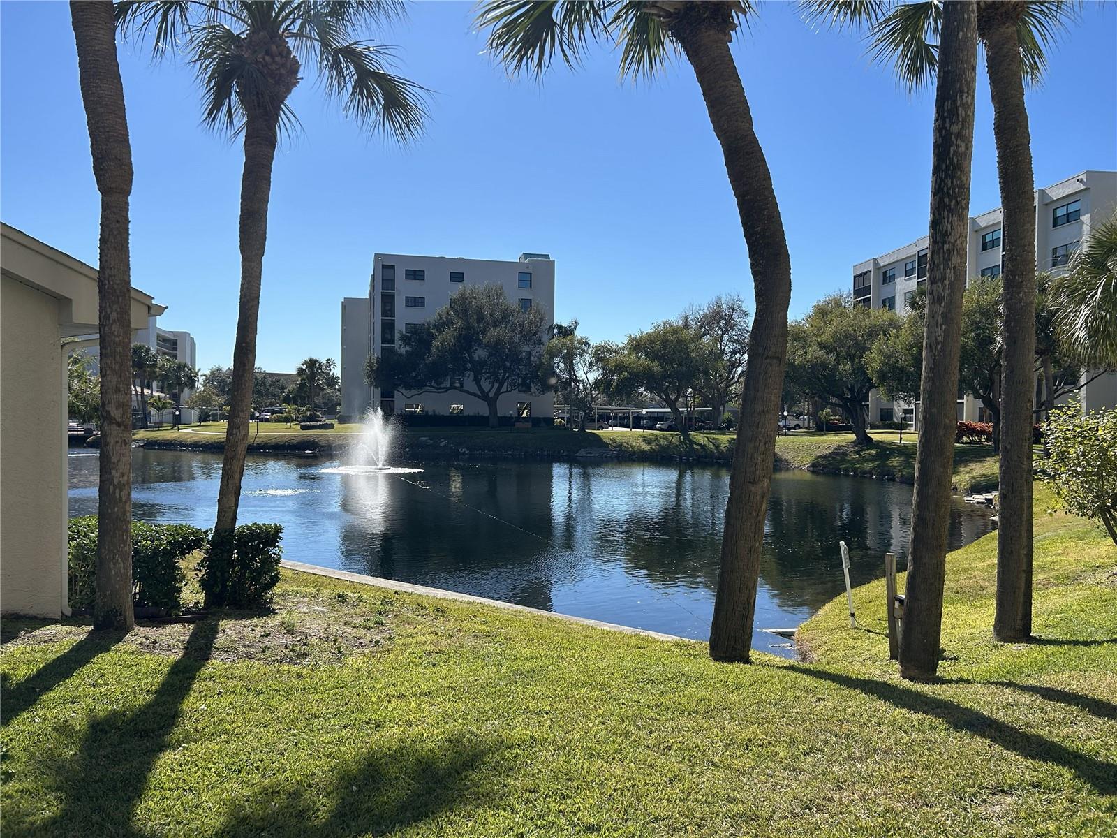 Image 43 of 50 For 1316 Pasadena Avenue S 202