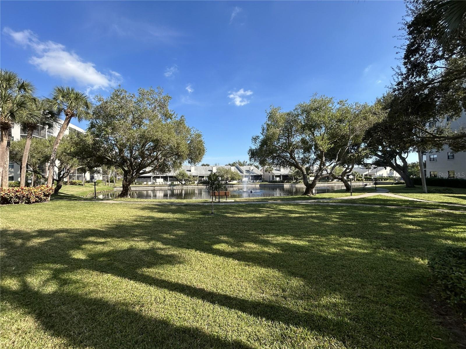 Image 45 of 50 For 1316 Pasadena Avenue S 202