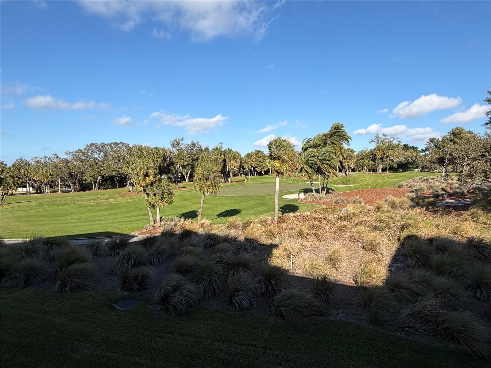 Image 4 of 15 For 50 Coe Road 322