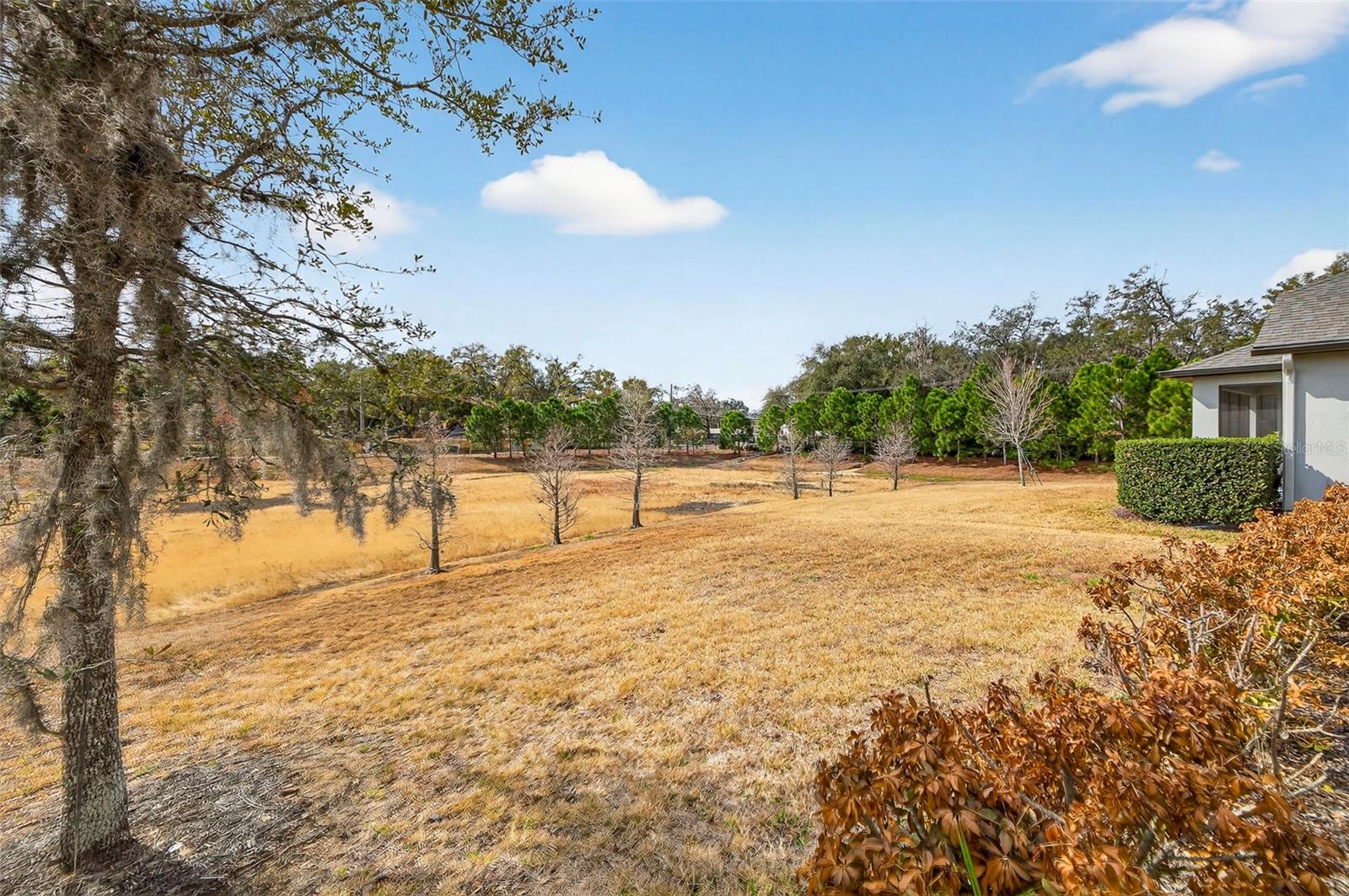 Image 31 of 37 For 1244 Florablu Drive