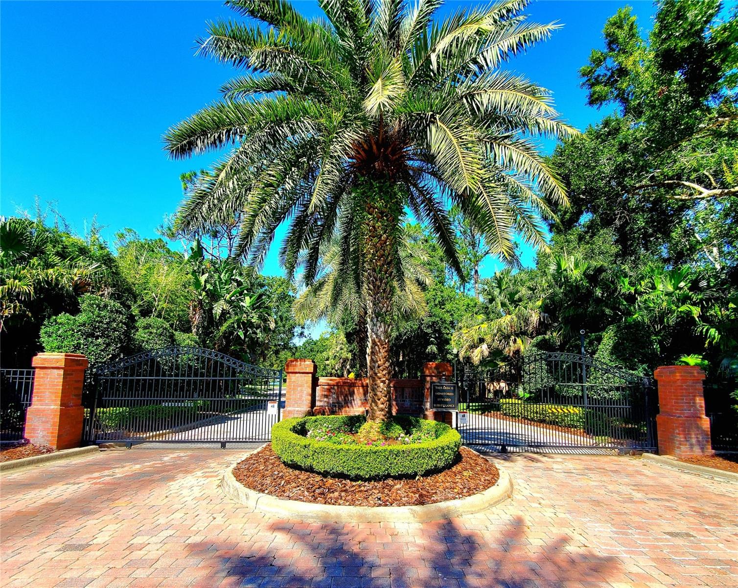 Listing photo id 1 for 10004 Tree Tops Lake Road