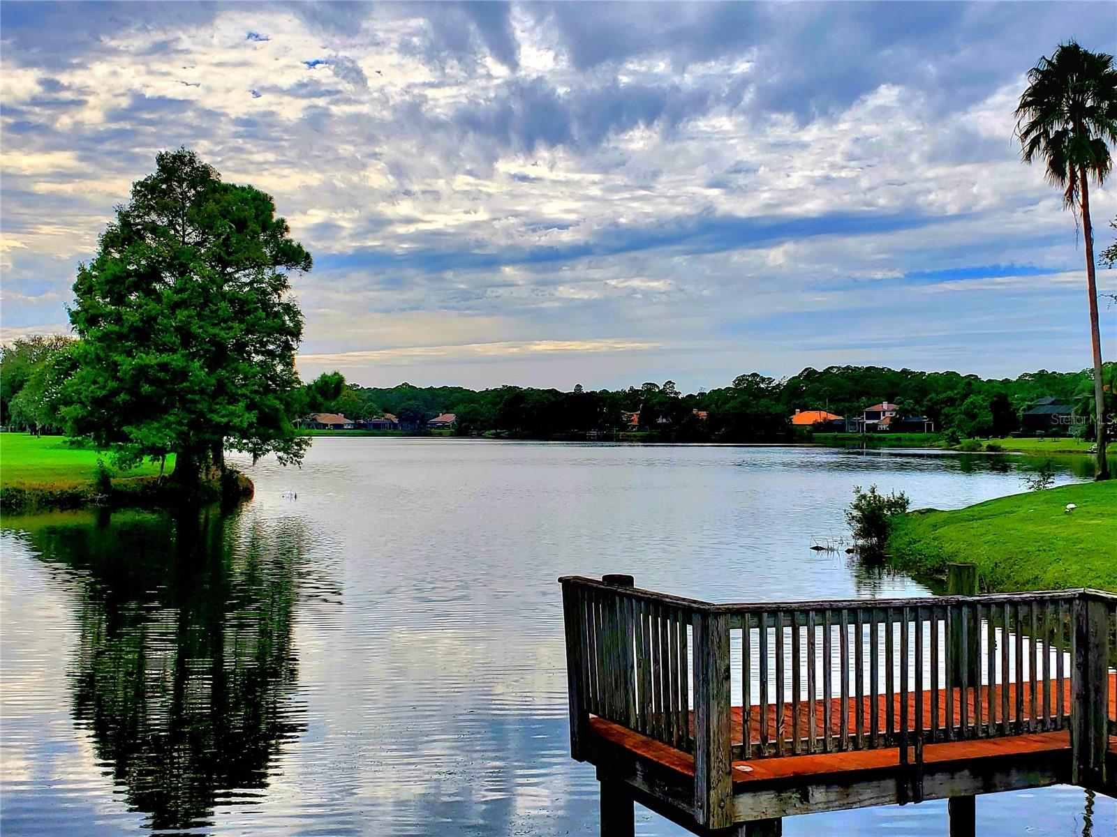 Listing photo id 63 for 10004 Tree Tops Lake Road