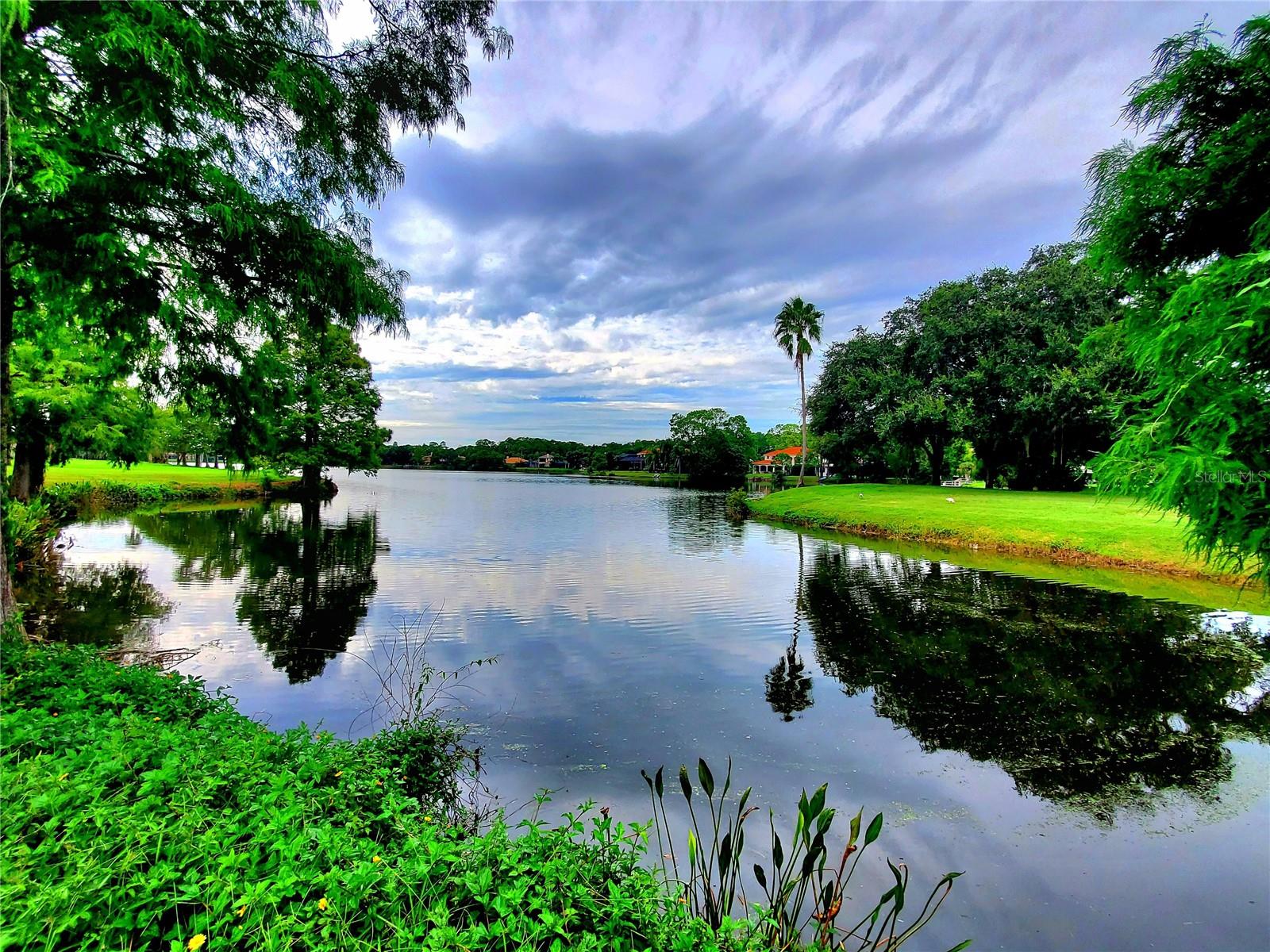 Listing photo id 64 for 10004 Tree Tops Lake Road