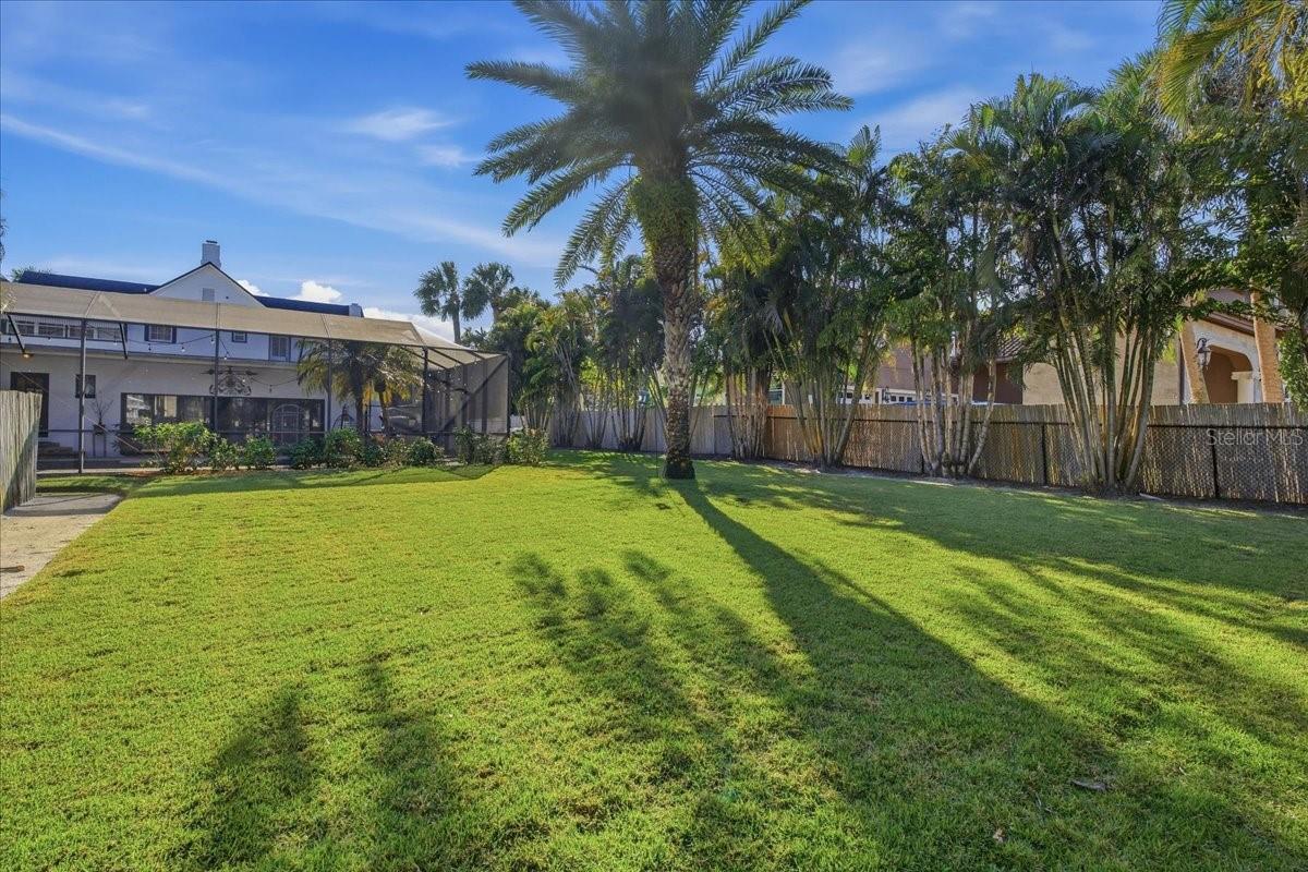 Image 89 of 100 For 208 Spring Boulevard