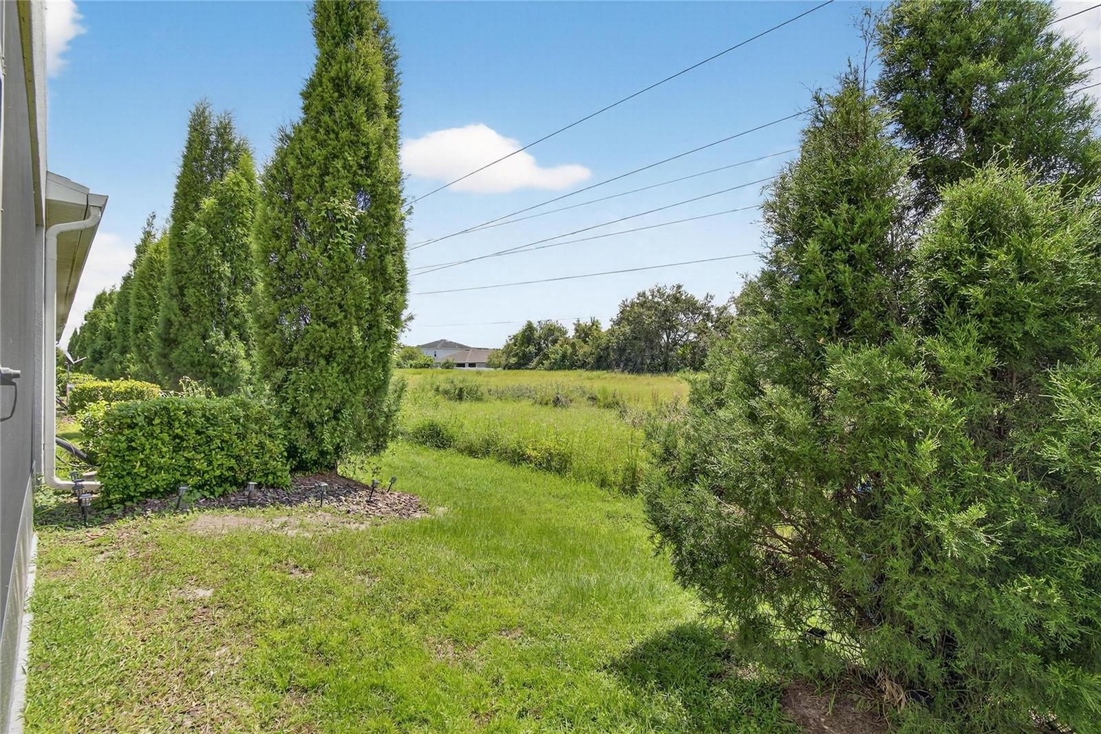 Listing photo id 45 for 8647 Falling Blue Place