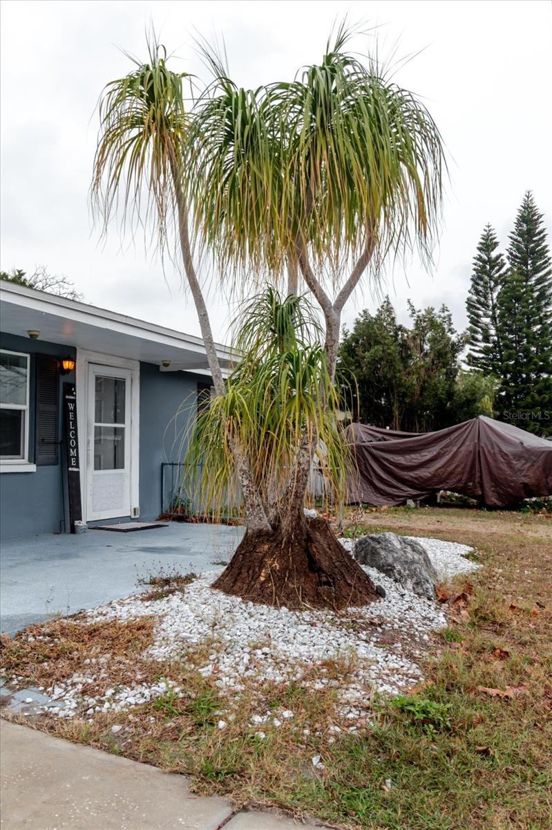 Image 68 of 78 For 9731 Rainbow Lane