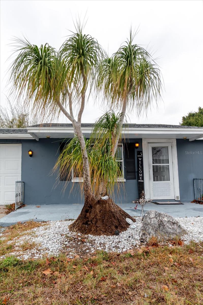 Image 69 of 78 For 9731 Rainbow Lane