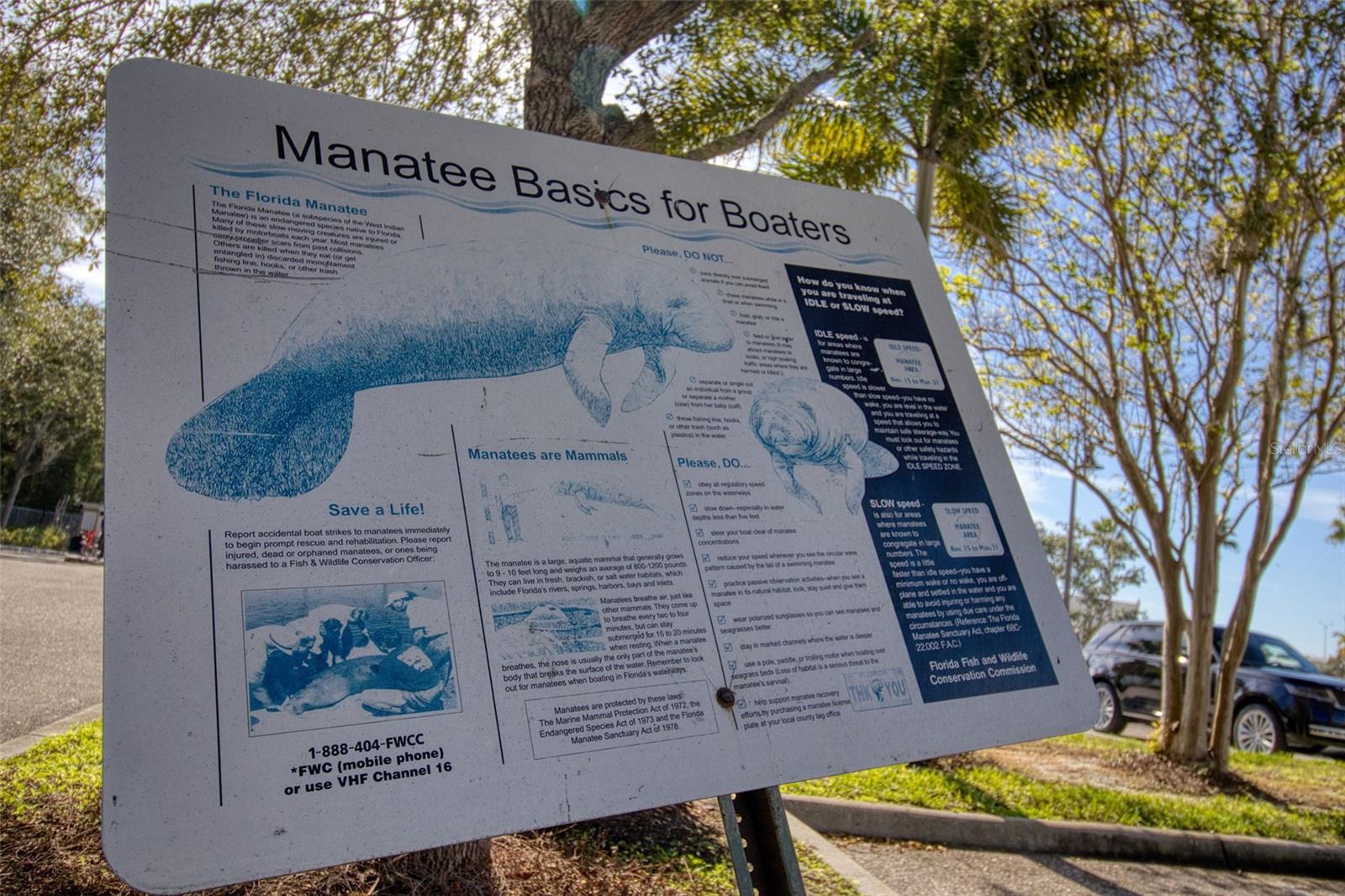 Image 23 of 33 For 3315 58 Avenue S 608