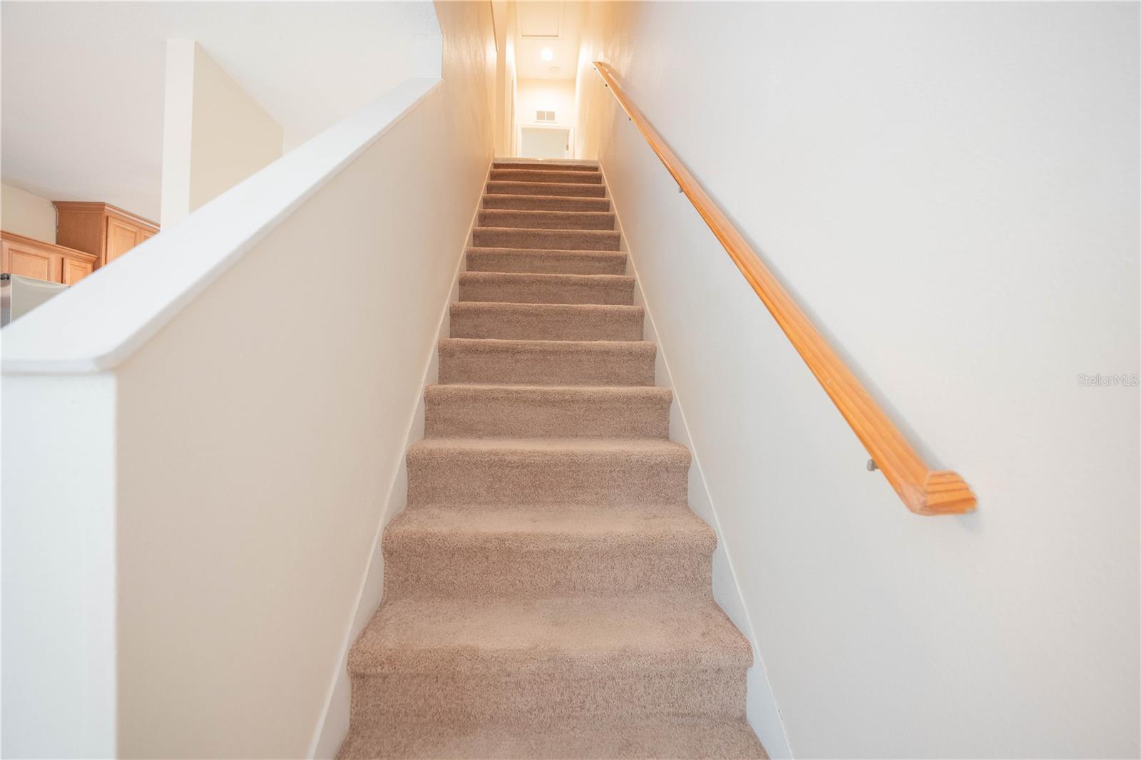 Image 17 of 41 For 5828 Nature Terrace Cove