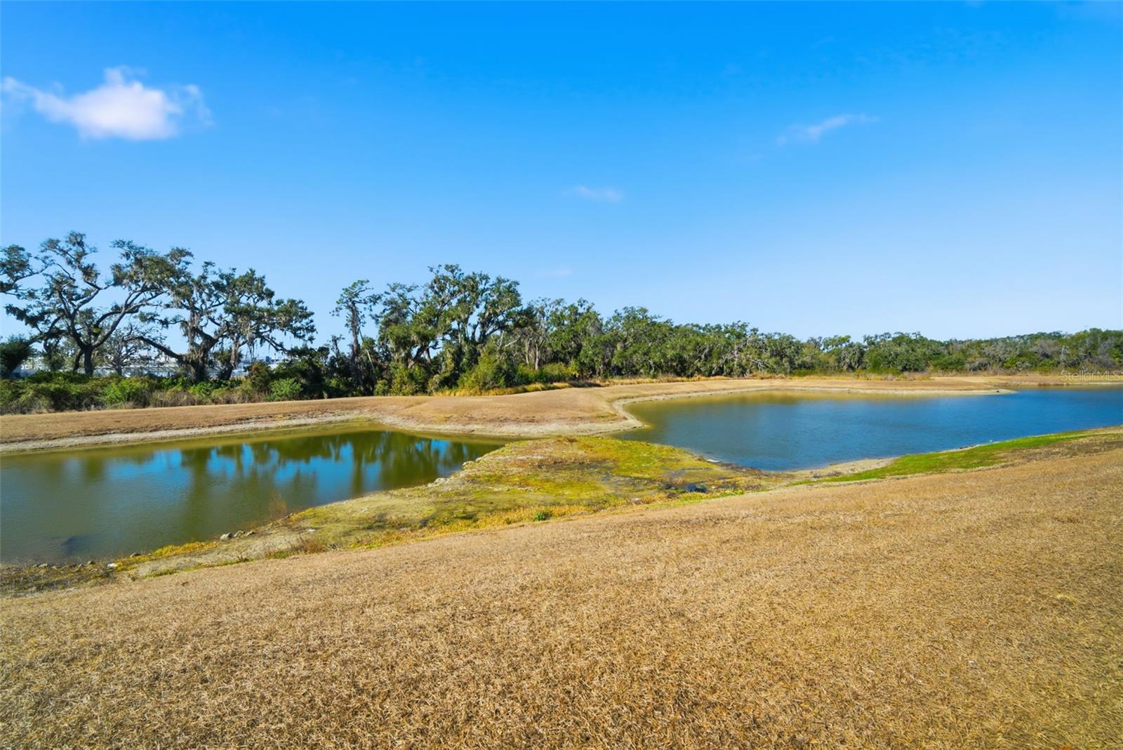 Image 41 of 68 For 11106 Leland Groves Drive