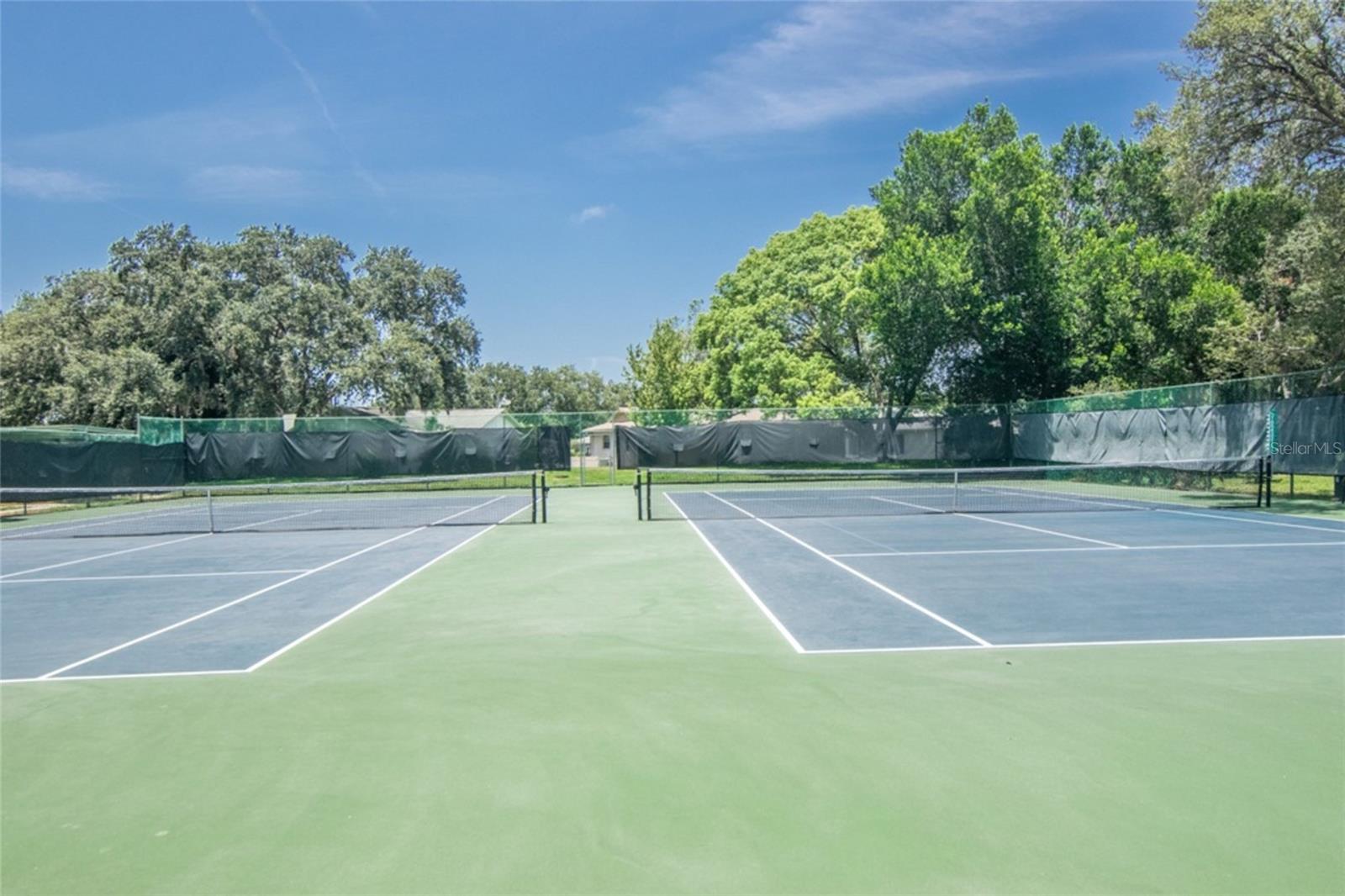 Image 38 of 44 For 11431 Dollar Lake Drive 1