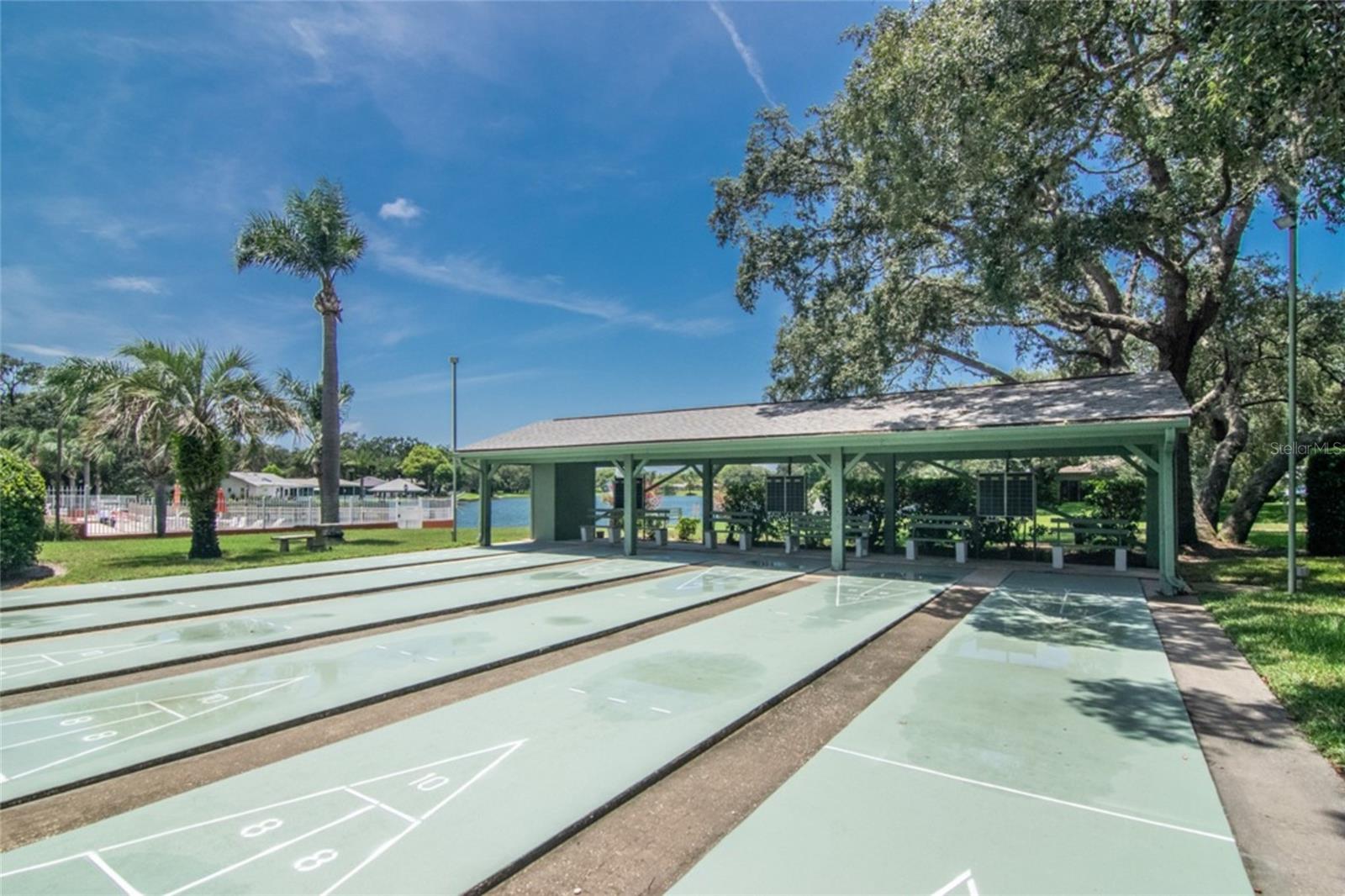 Image 40 of 44 For 11431 Dollar Lake Drive 1