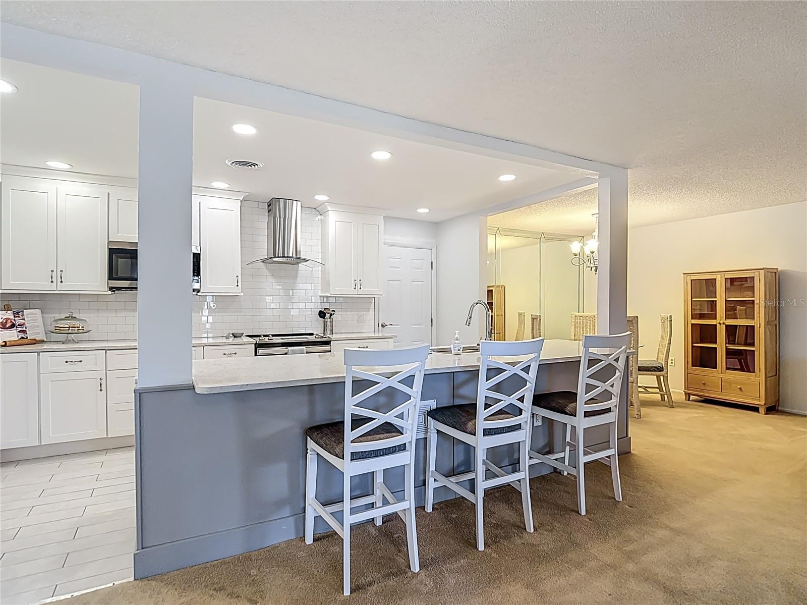 Image 6 of 44 For 11431 Dollar Lake Drive 1