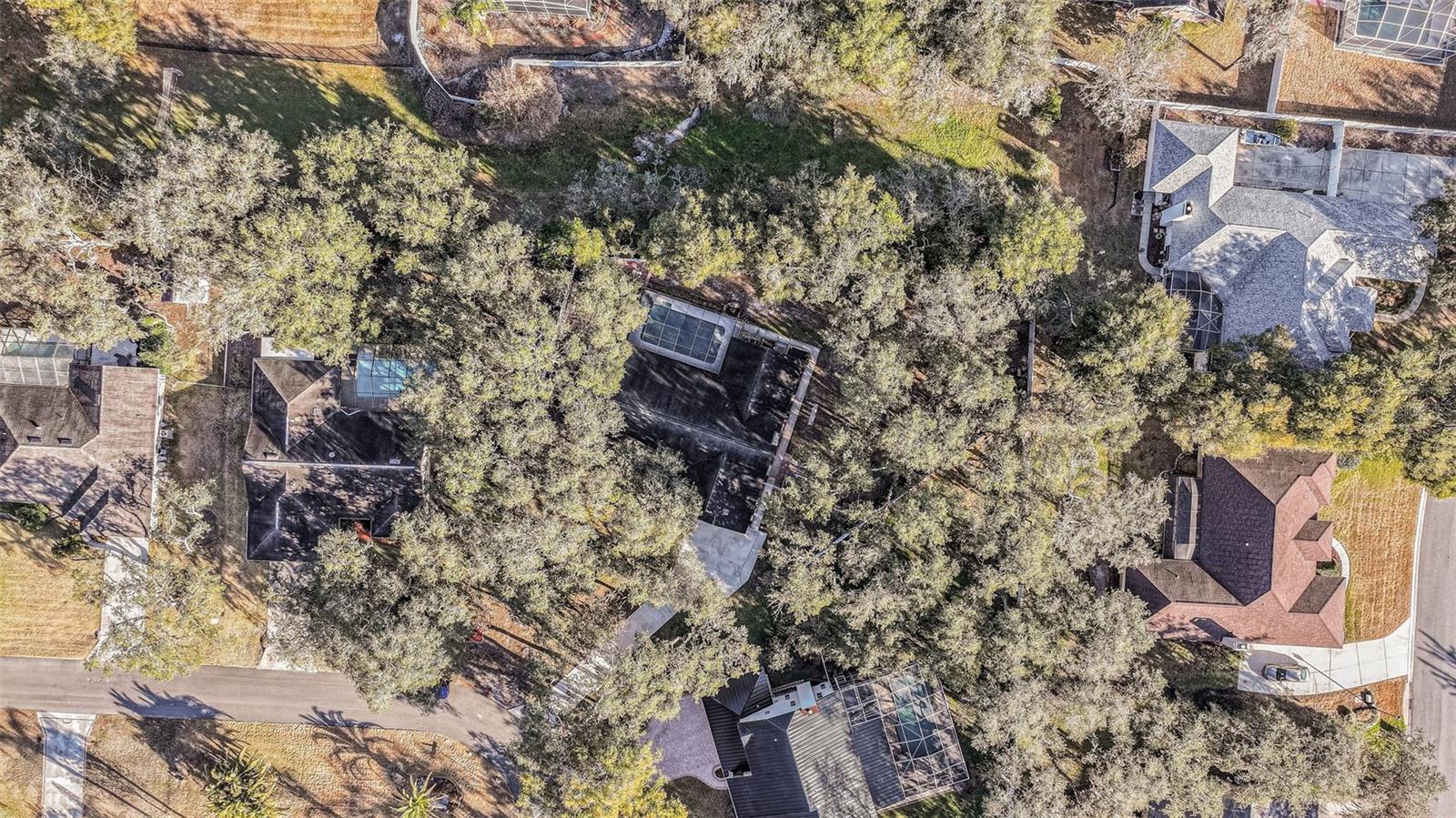 Image 29 of 32 For 1634 Morning Dove Loop N