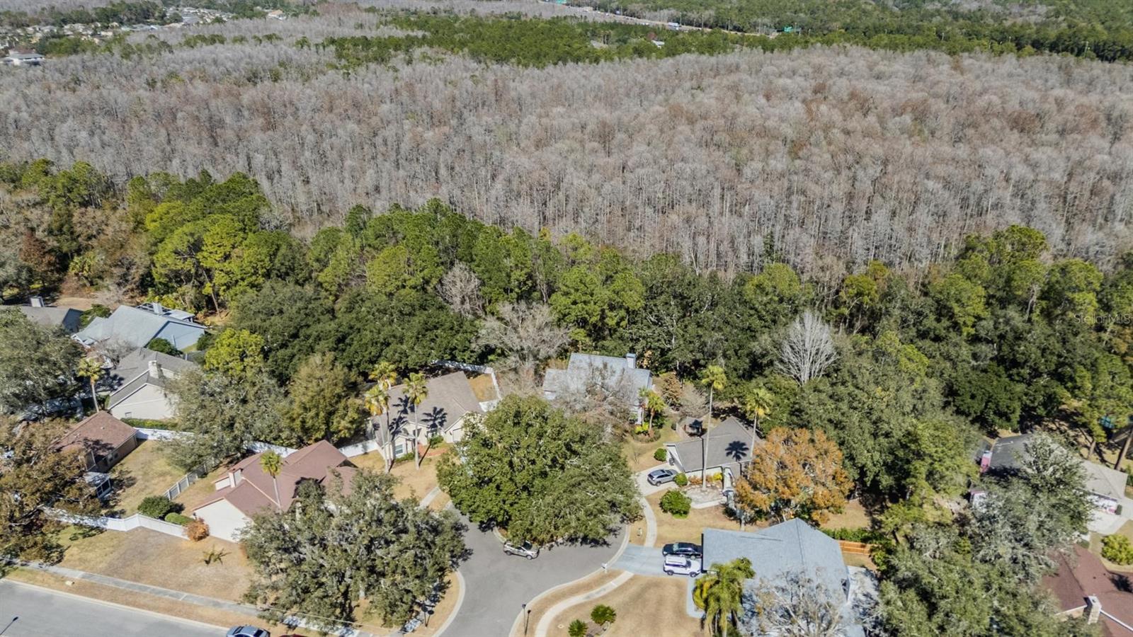 Listing photo id 40 for 16105 Stowe Court