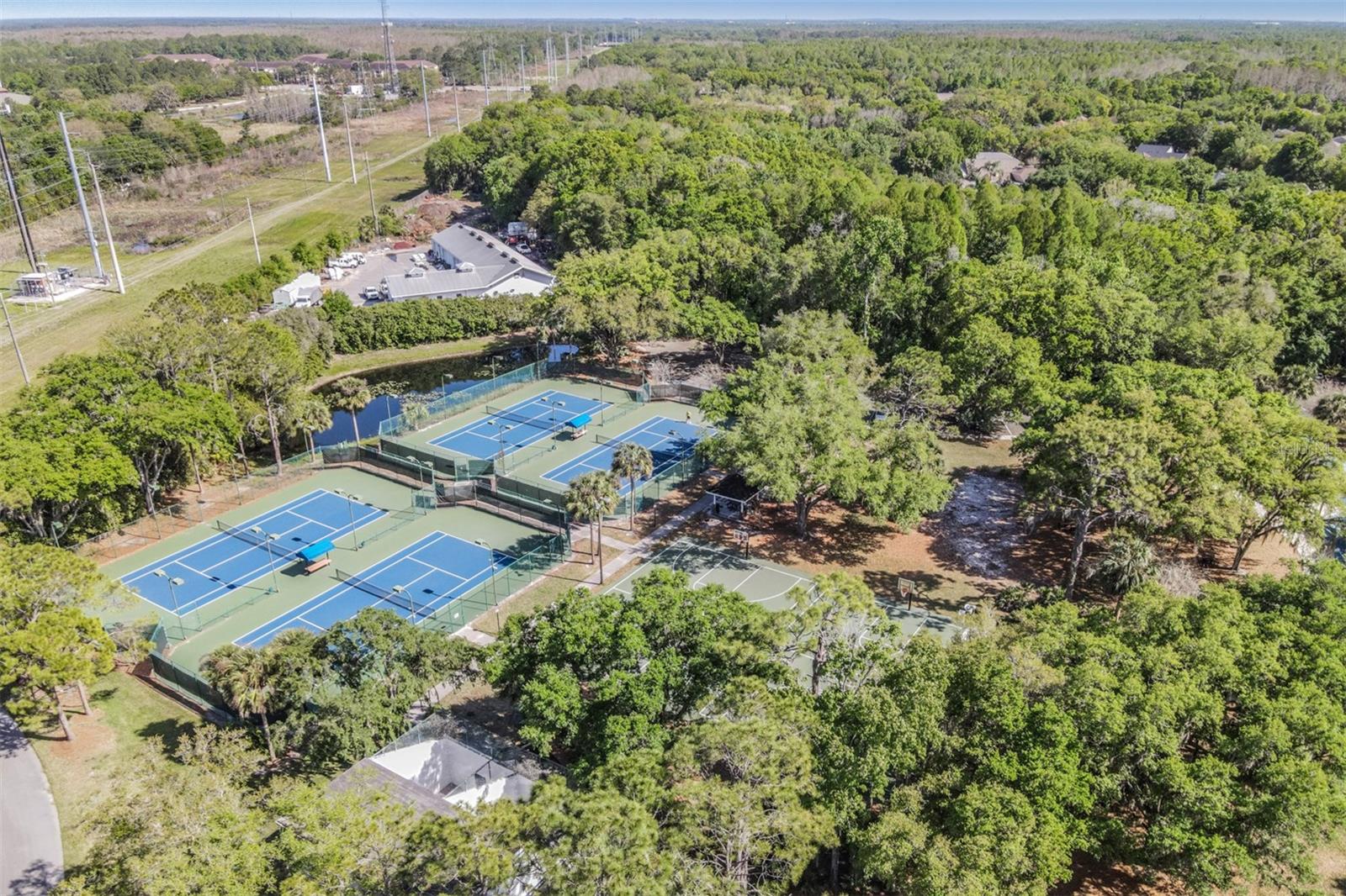 Listing photo id 44 for 16105 Stowe Court