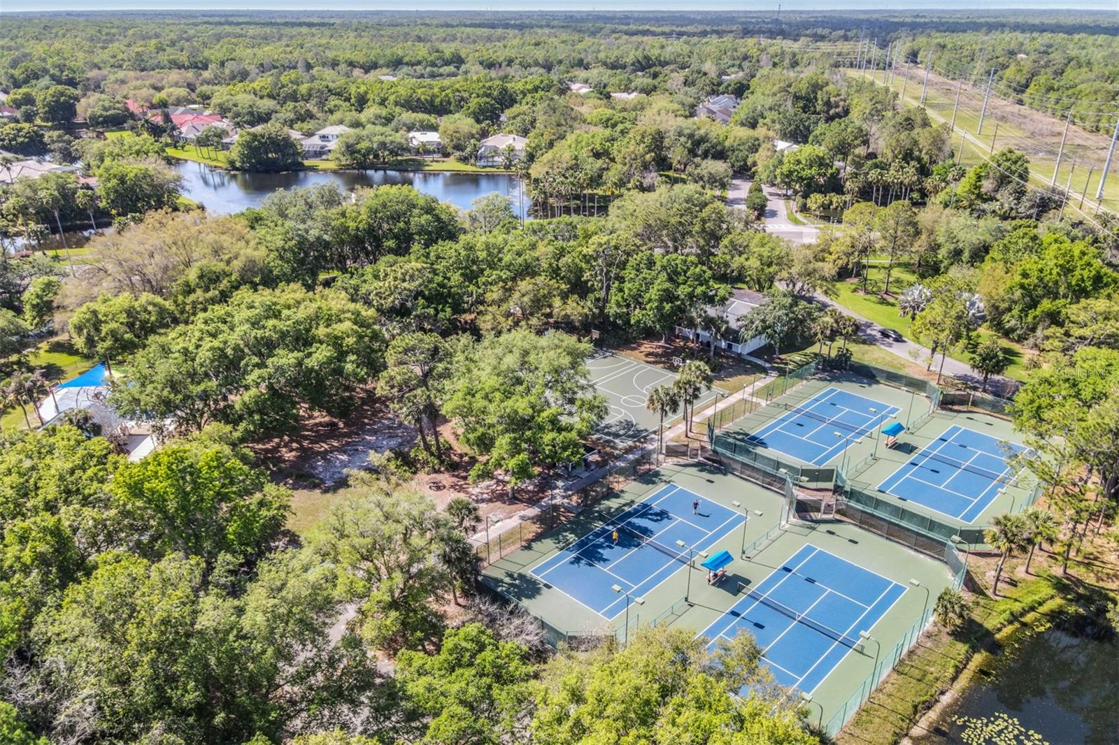 Listing photo id 45 for 16105 Stowe Court