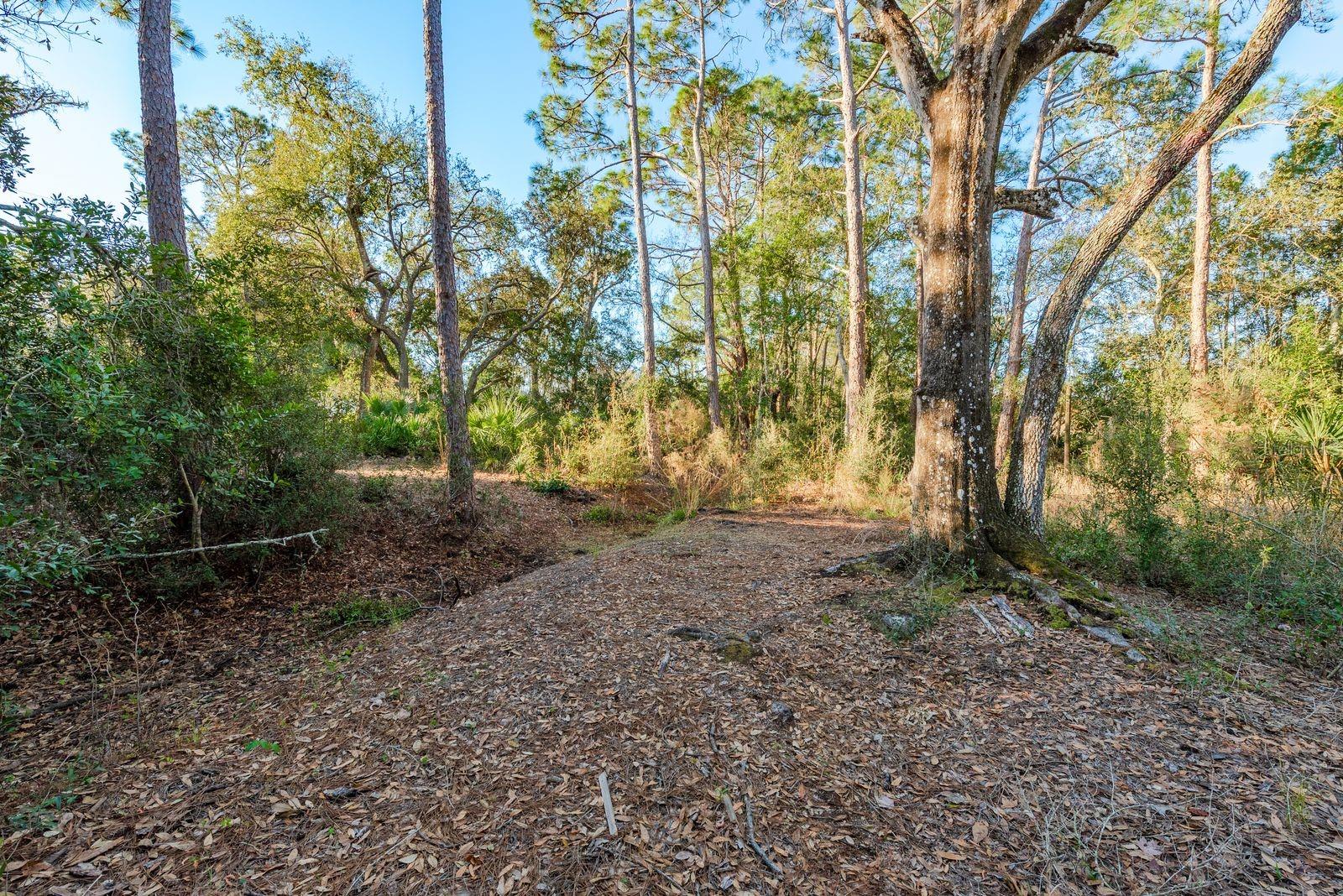 Image 10 of 42 For 9501 Bonnet Lake Drive