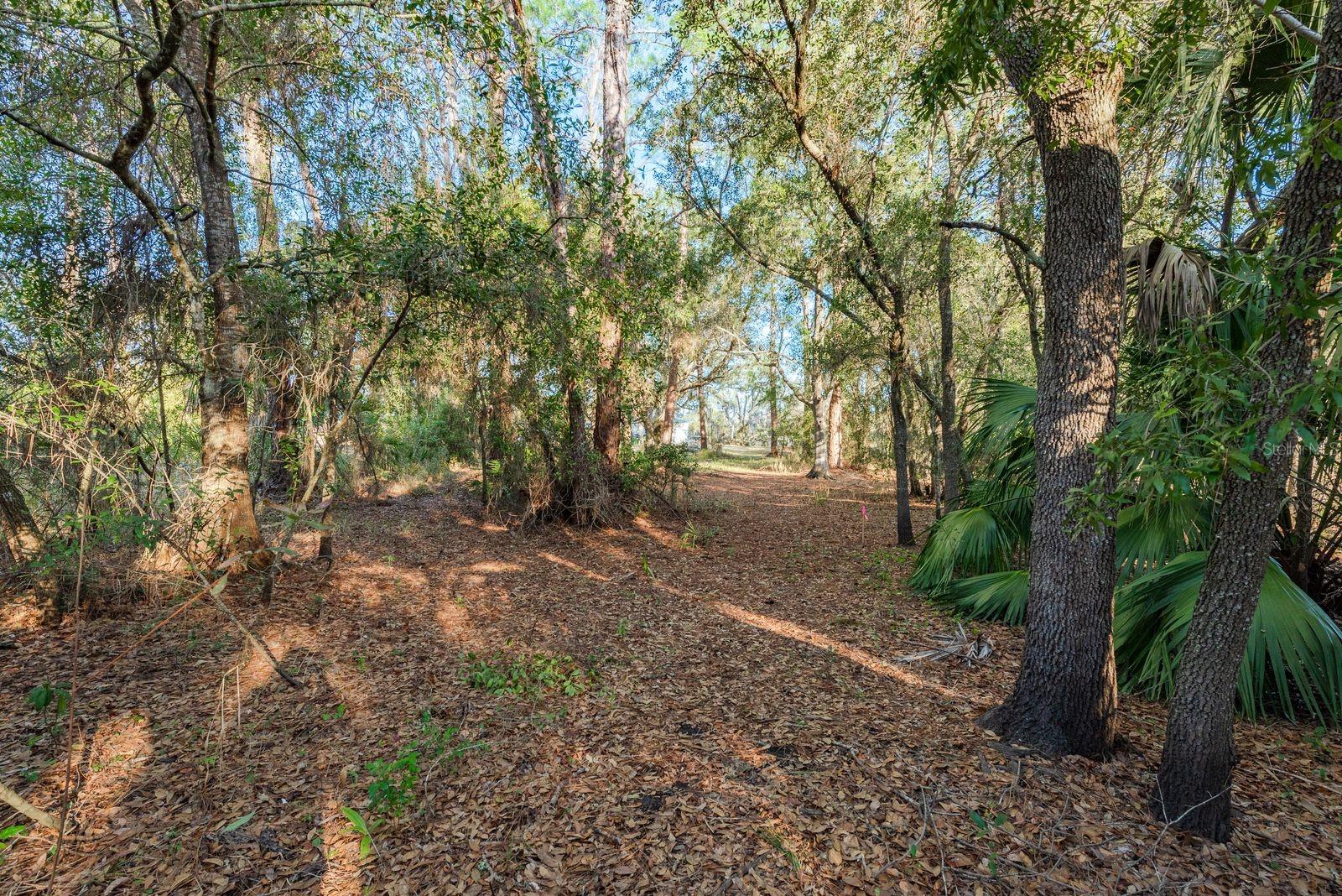 Image 11 of 42 For 9501 Bonnet Lake Drive