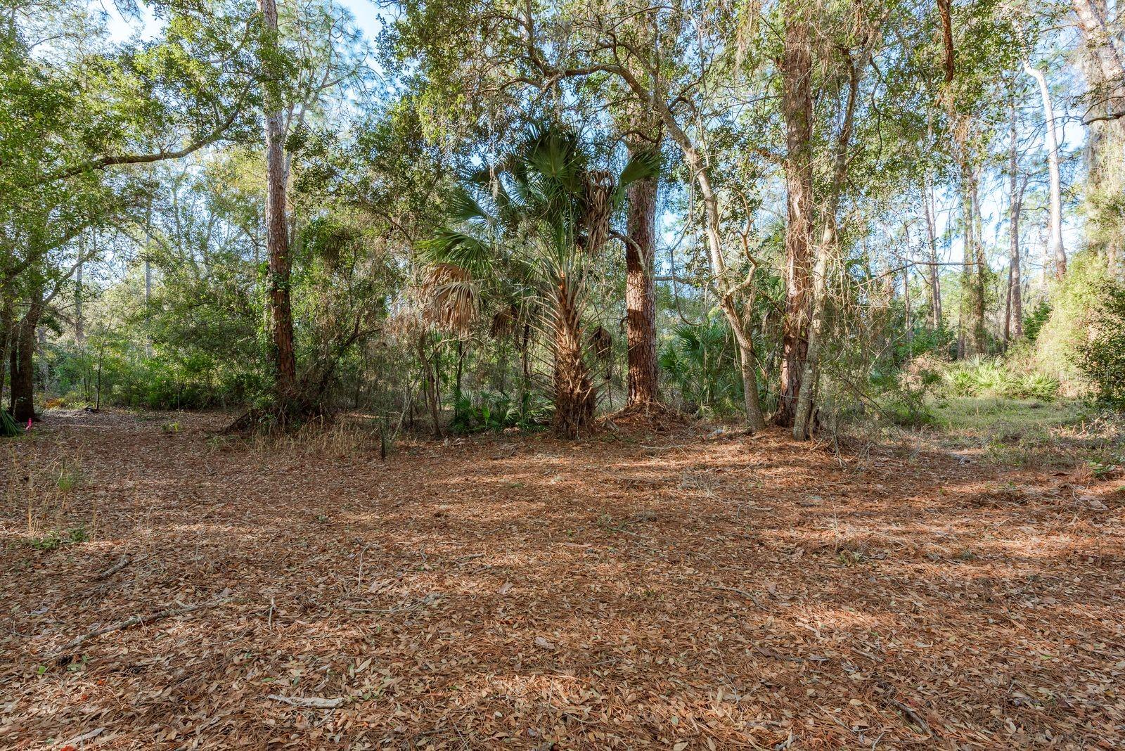 Image 12 of 42 For 9501 Bonnet Lake Drive