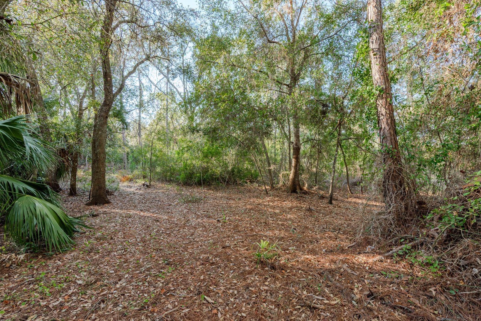 Image 13 of 42 For 9501 Bonnet Lake Drive