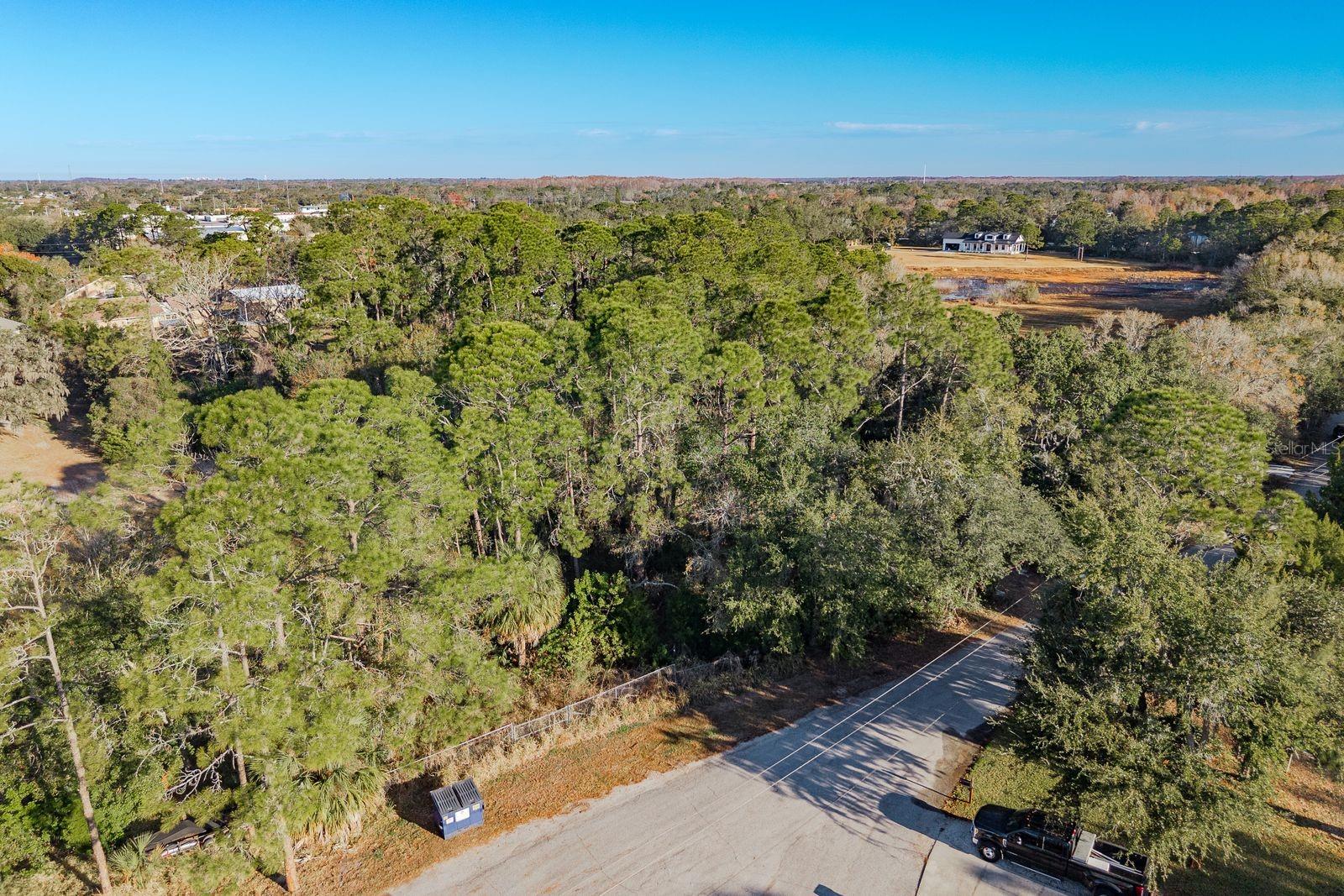 Image 17 of 42 For 9501 Bonnet Lake Drive