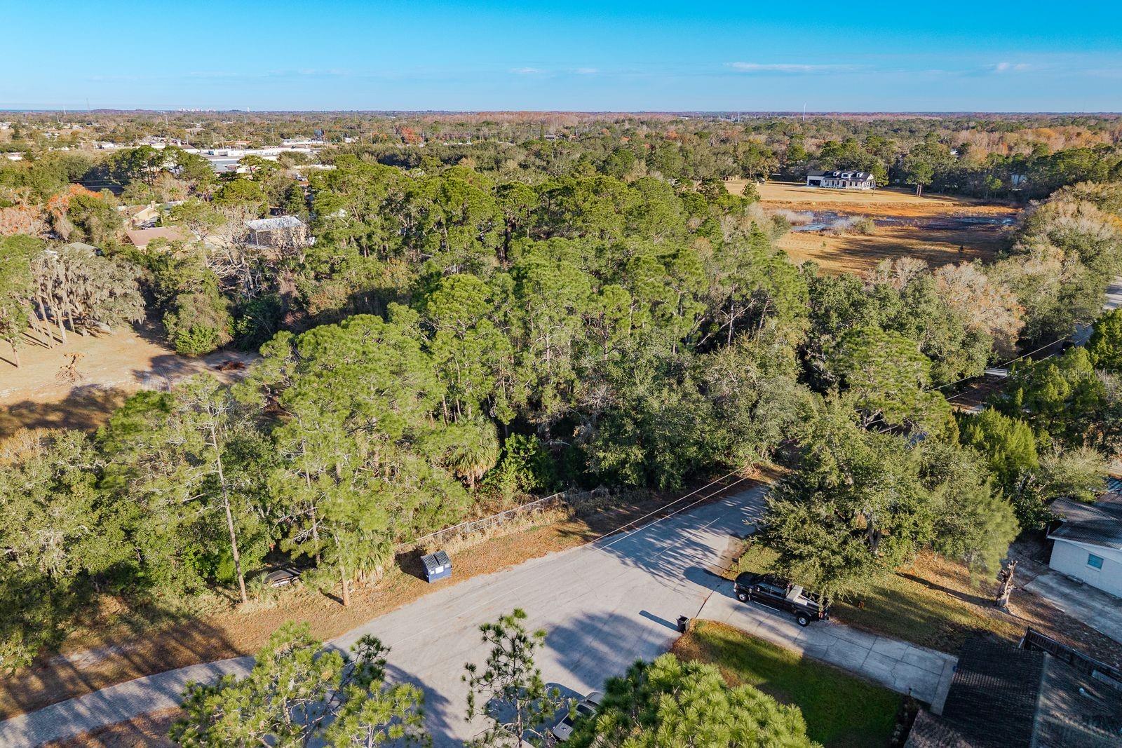 Image 18 of 42 For 9501 Bonnet Lake Drive