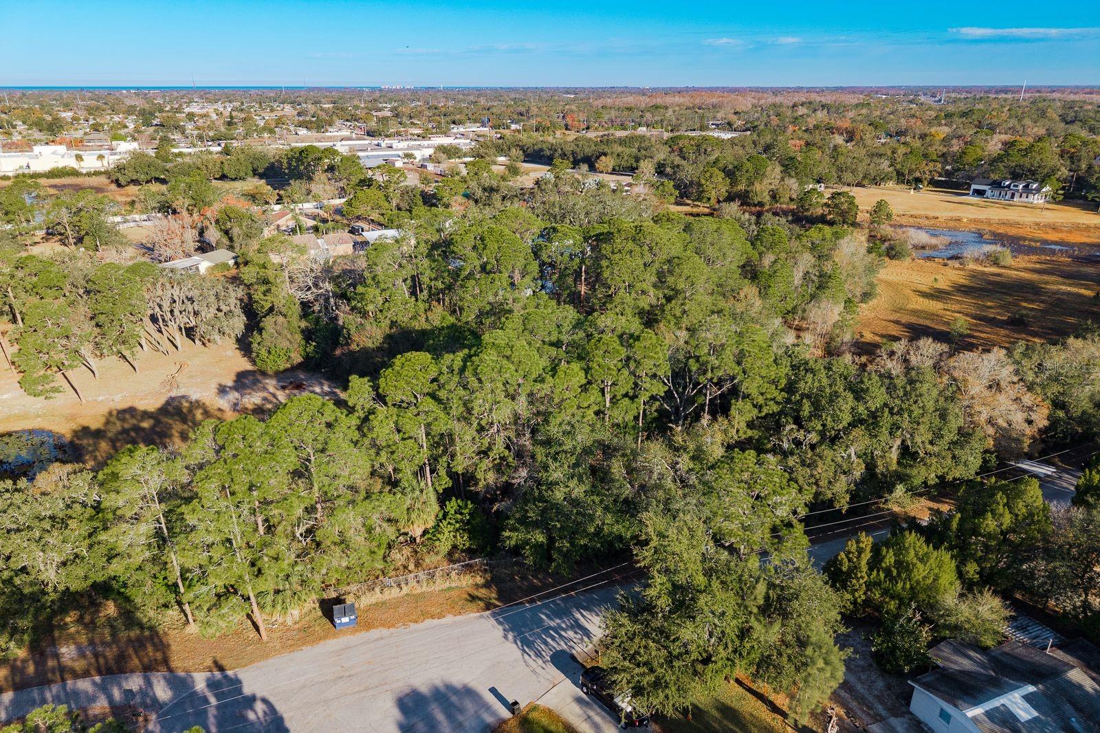 Image 20 of 42 For 9501 Bonnet Lake Drive