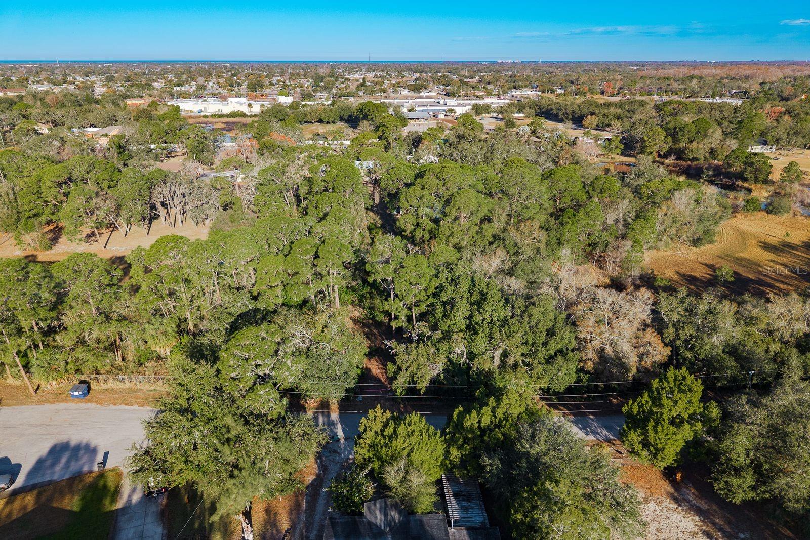 Image 21 of 42 For 9501 Bonnet Lake Drive