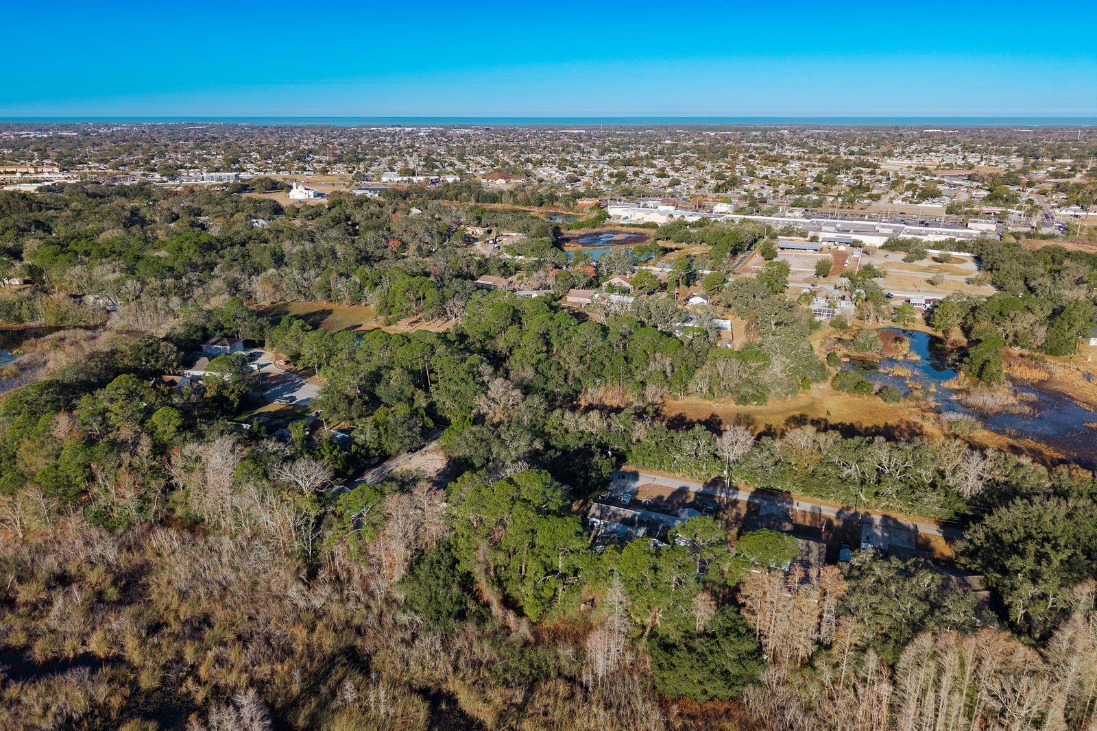 Image 25 of 42 For 9501 Bonnet Lake Drive