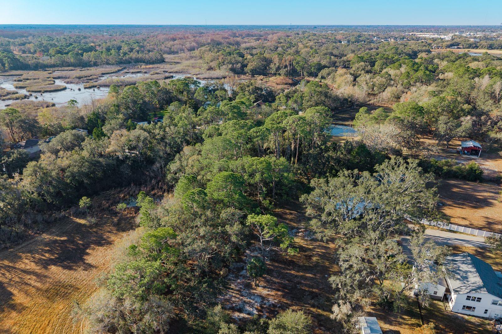 Image 30 of 42 For 9501 Bonnet Lake Drive