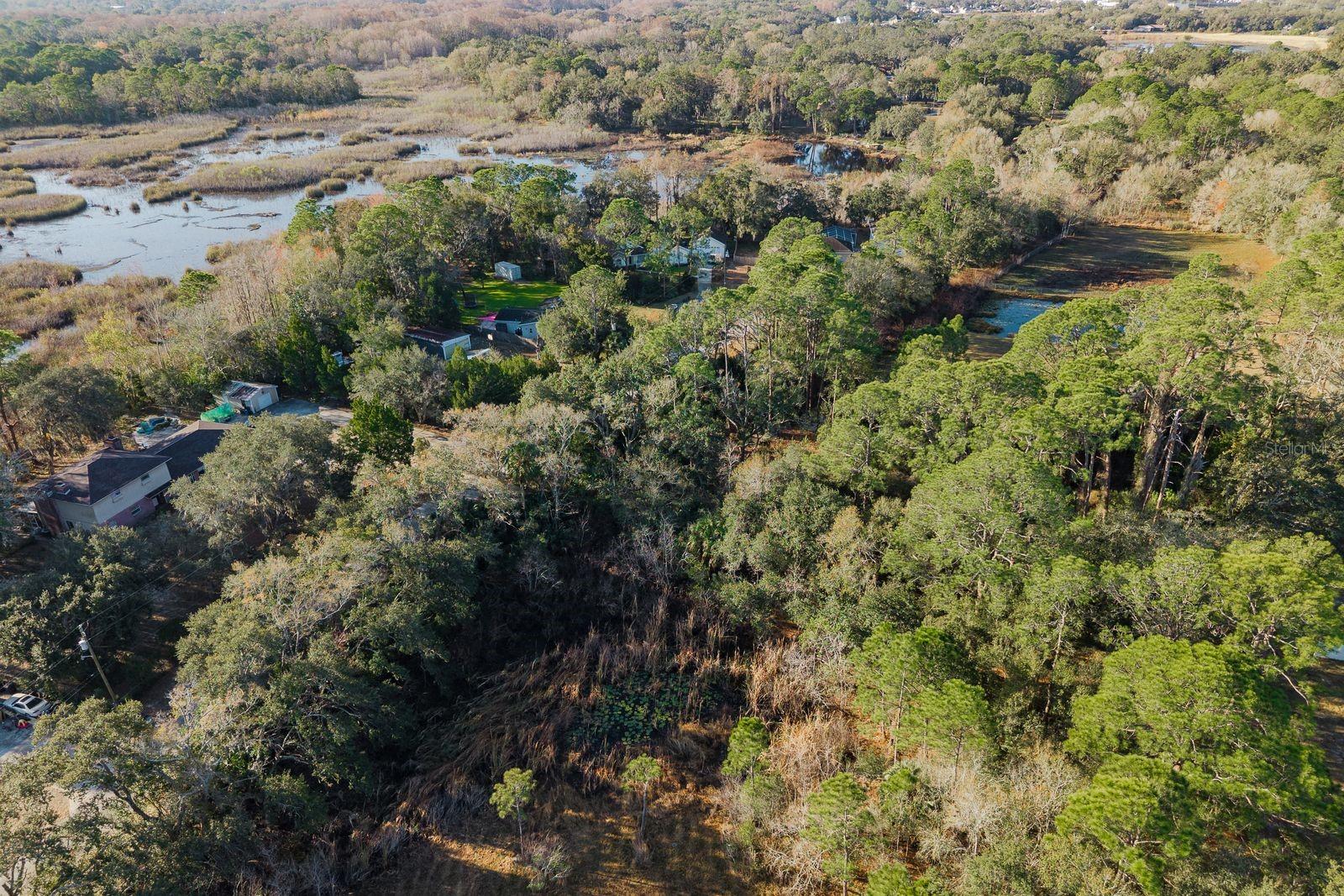 Image 31 of 42 For 9501 Bonnet Lake Drive