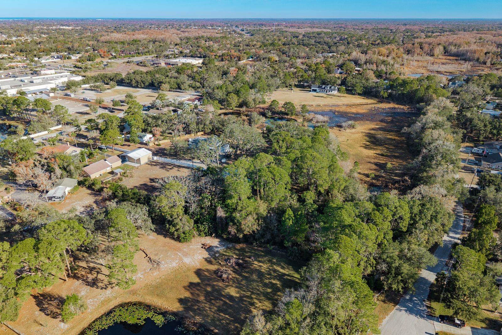 Image 39 of 42 For 9501 Bonnet Lake Drive