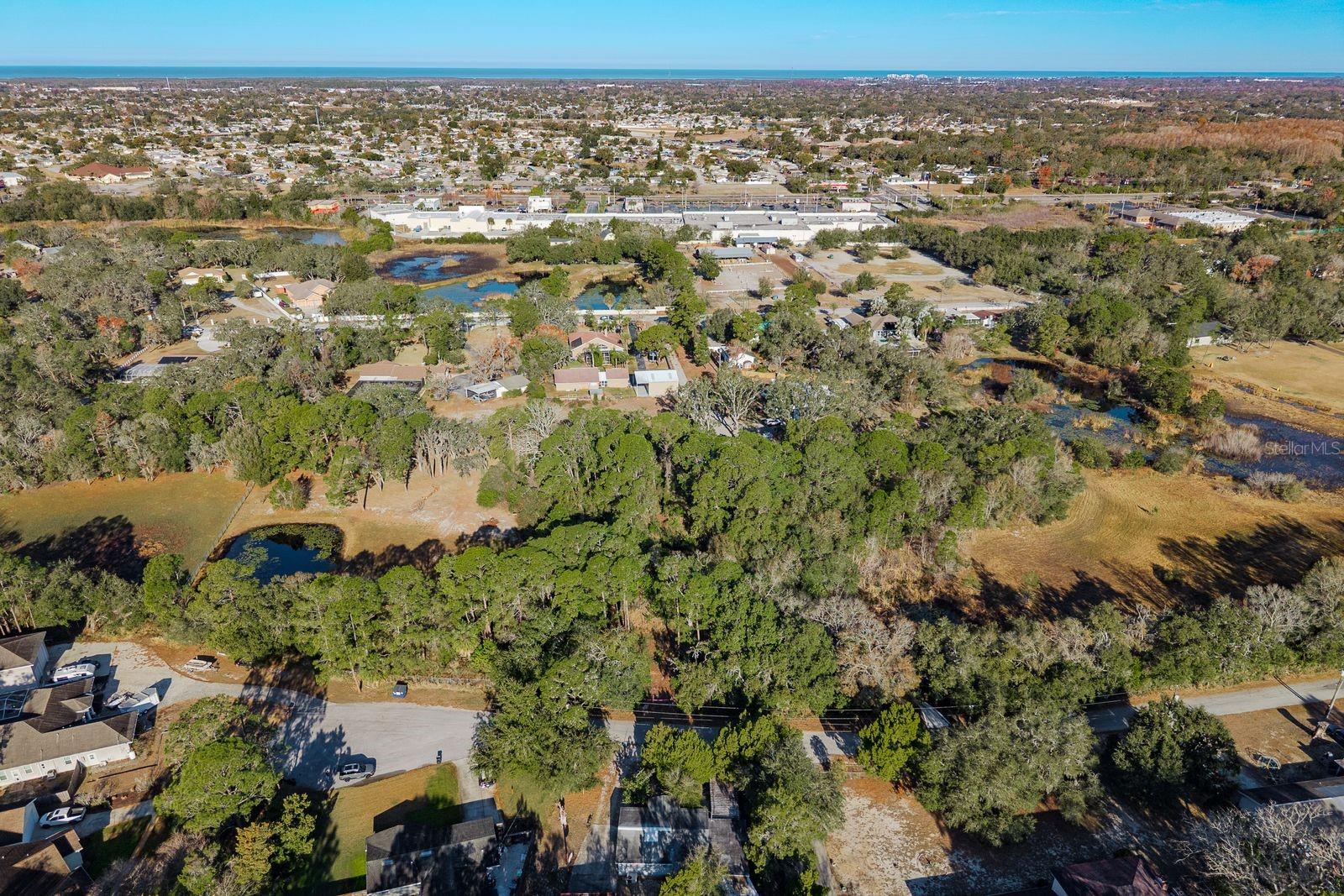 Image 41 of 42 For 9501 Bonnet Lake Drive