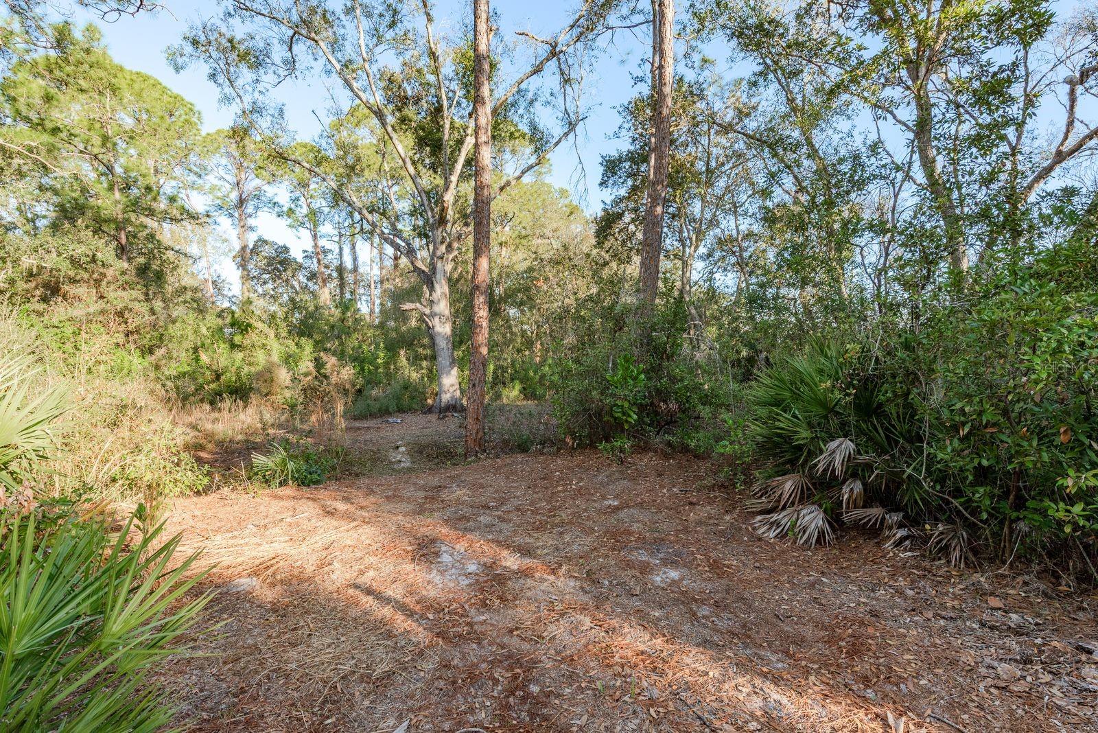 Image 9 of 42 For 9501 Bonnet Lake Drive