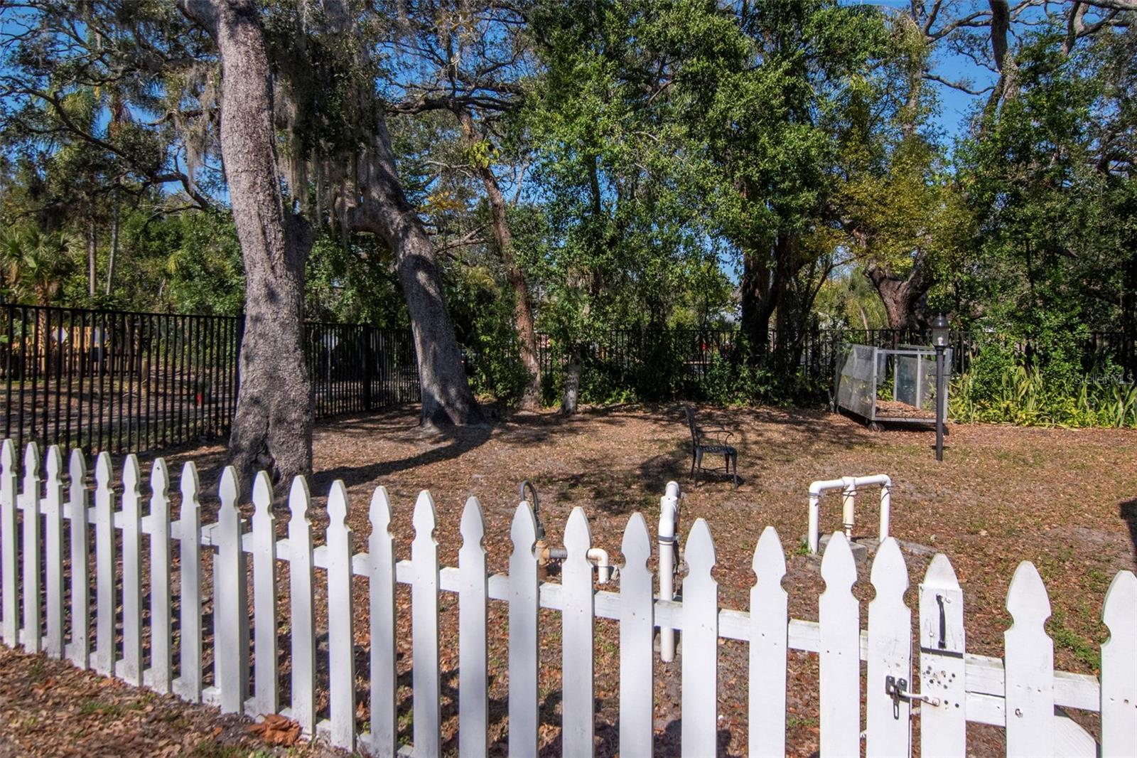 Image 31 of 32 For 708 Lyndhurst Street 123