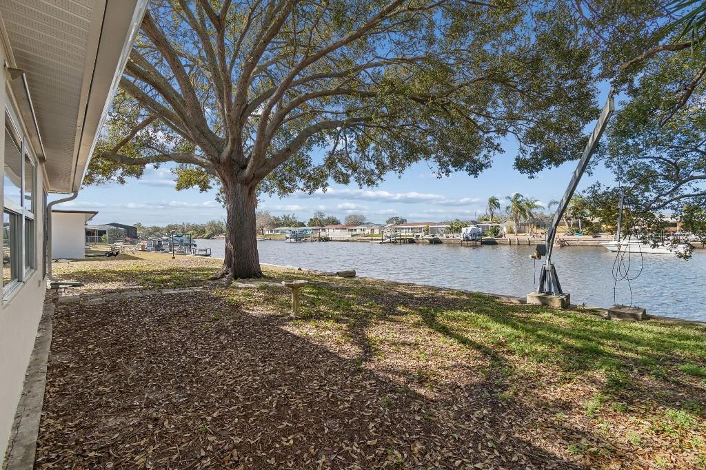 Listing photo id 39 for 1147 Rushmore Drive