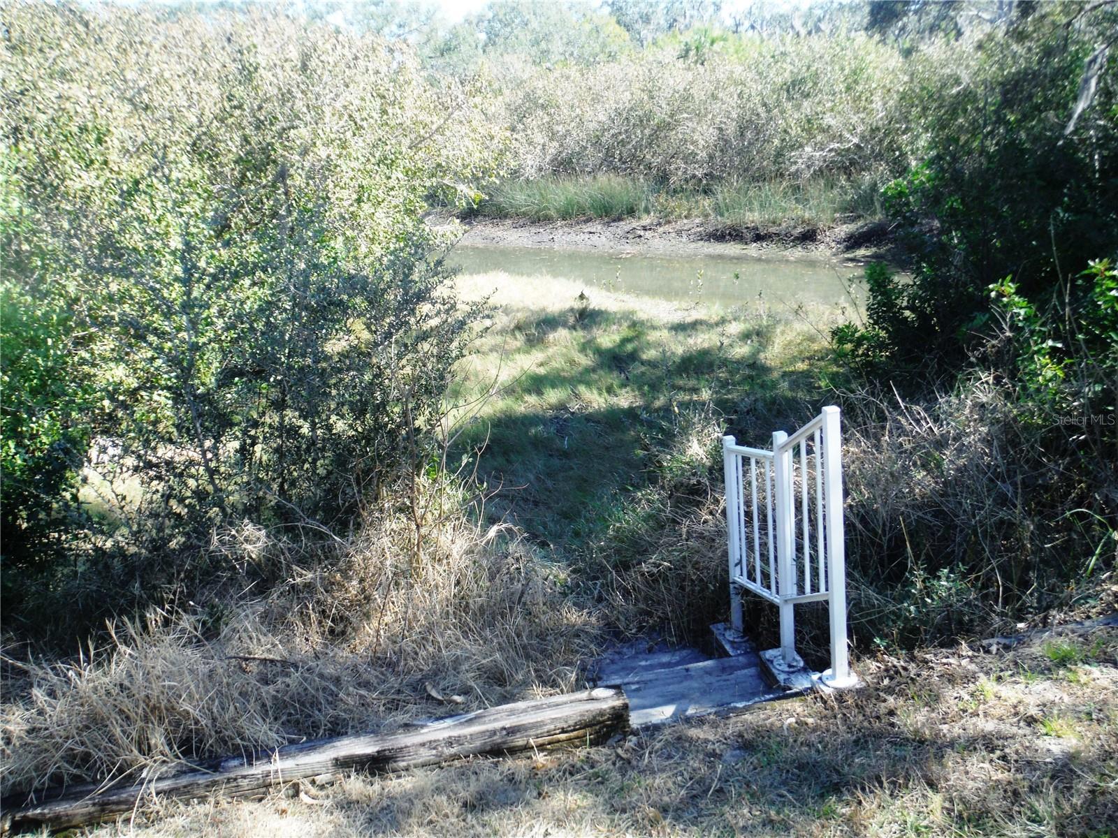 Details for 98 Sugar Bear Drive 57, SAFETY HARBOR, FL 34695