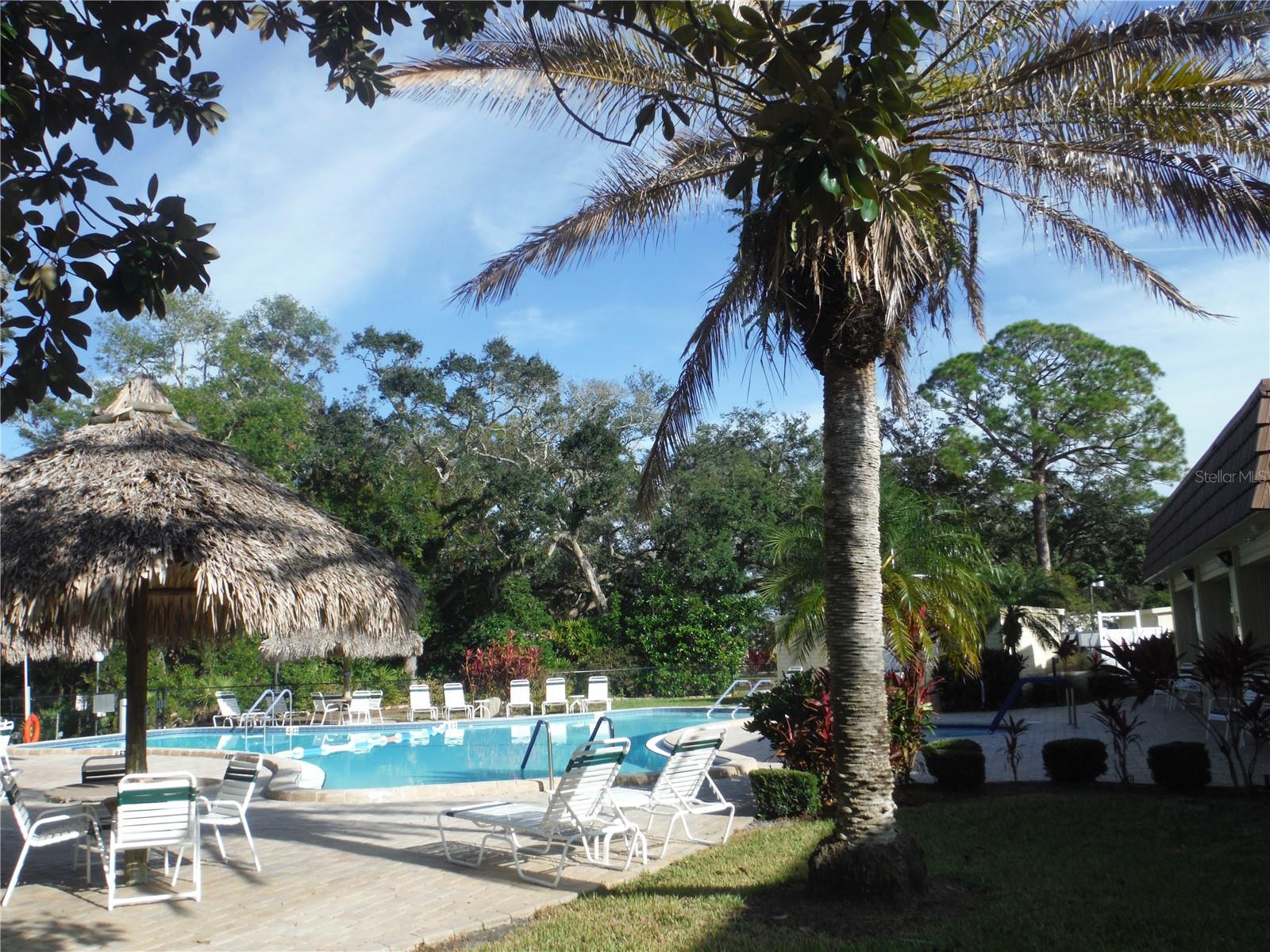 Image 36 of 39 For 98 Sugar Bear Drive 57