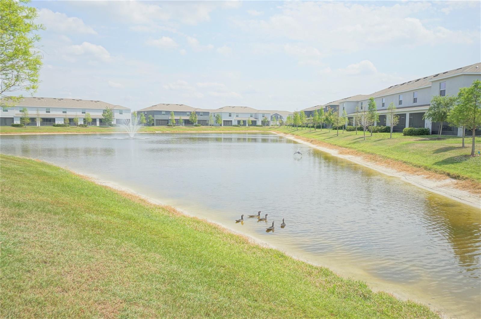 Image 10 of 28 For 6911 Breezy Palm Drive