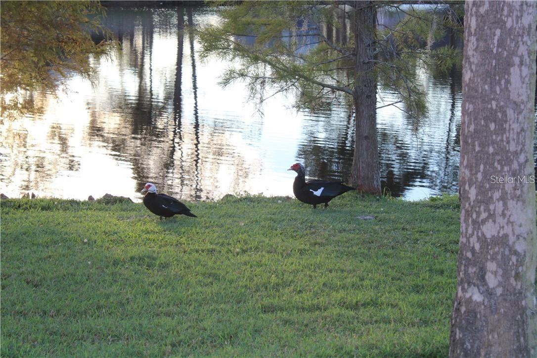 Image 27 of 32 For 11401 Waveland Way