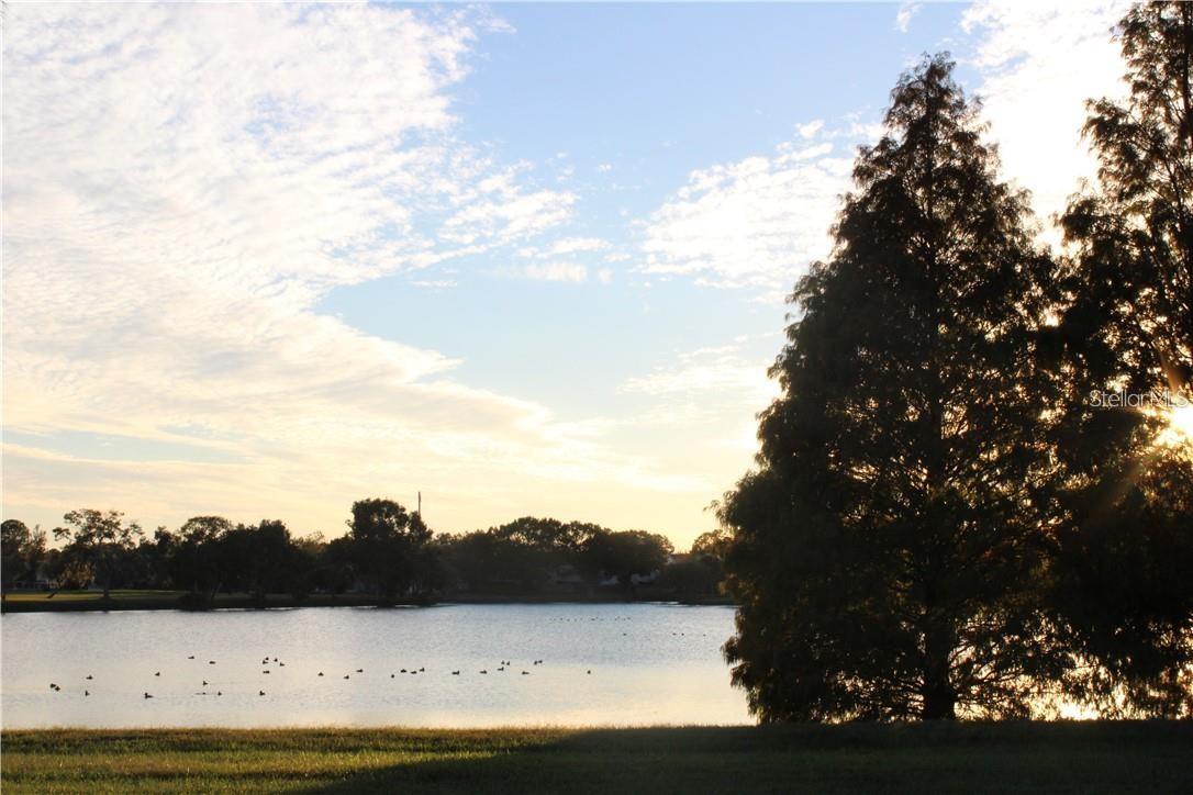 Image 31 of 32 For 11401 Waveland Way